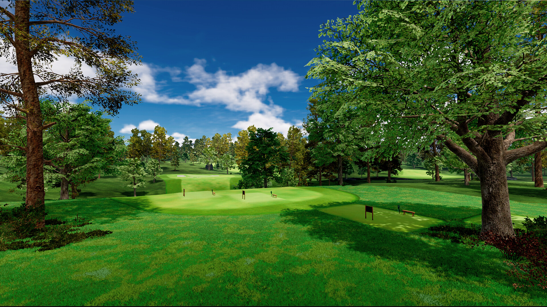 Golf 5 MAX screenshot 15