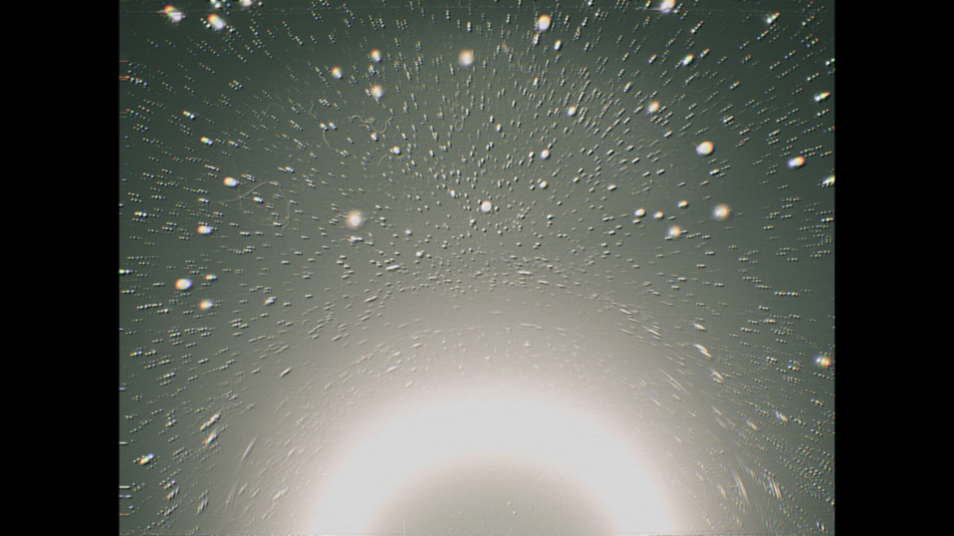 GORE screenshot 12