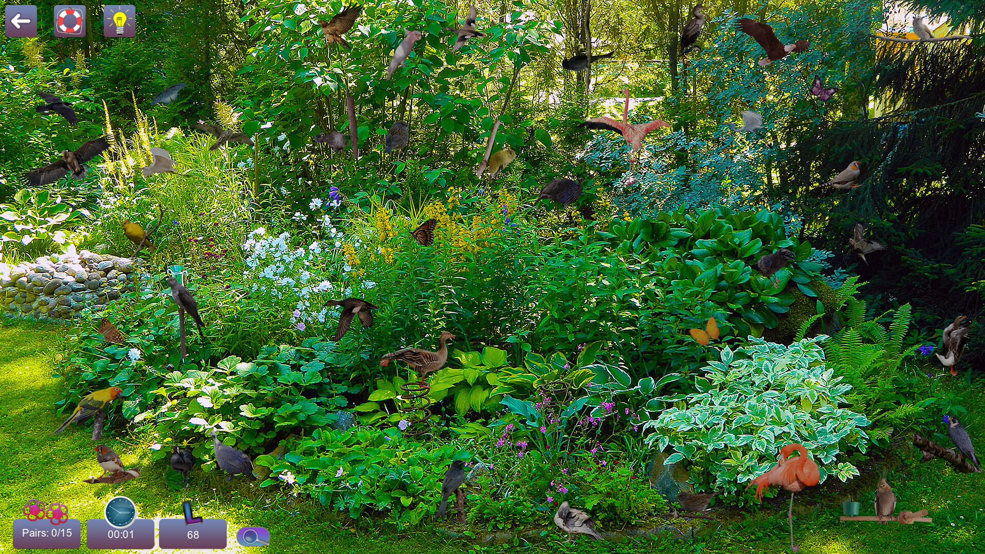 Hidden Pairs 3: Lovely Birds - Hidden Objects screenshot 2