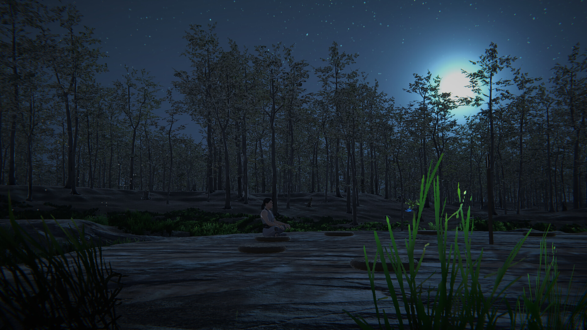 Trigrams Roam the Wilderness screenshot 3
