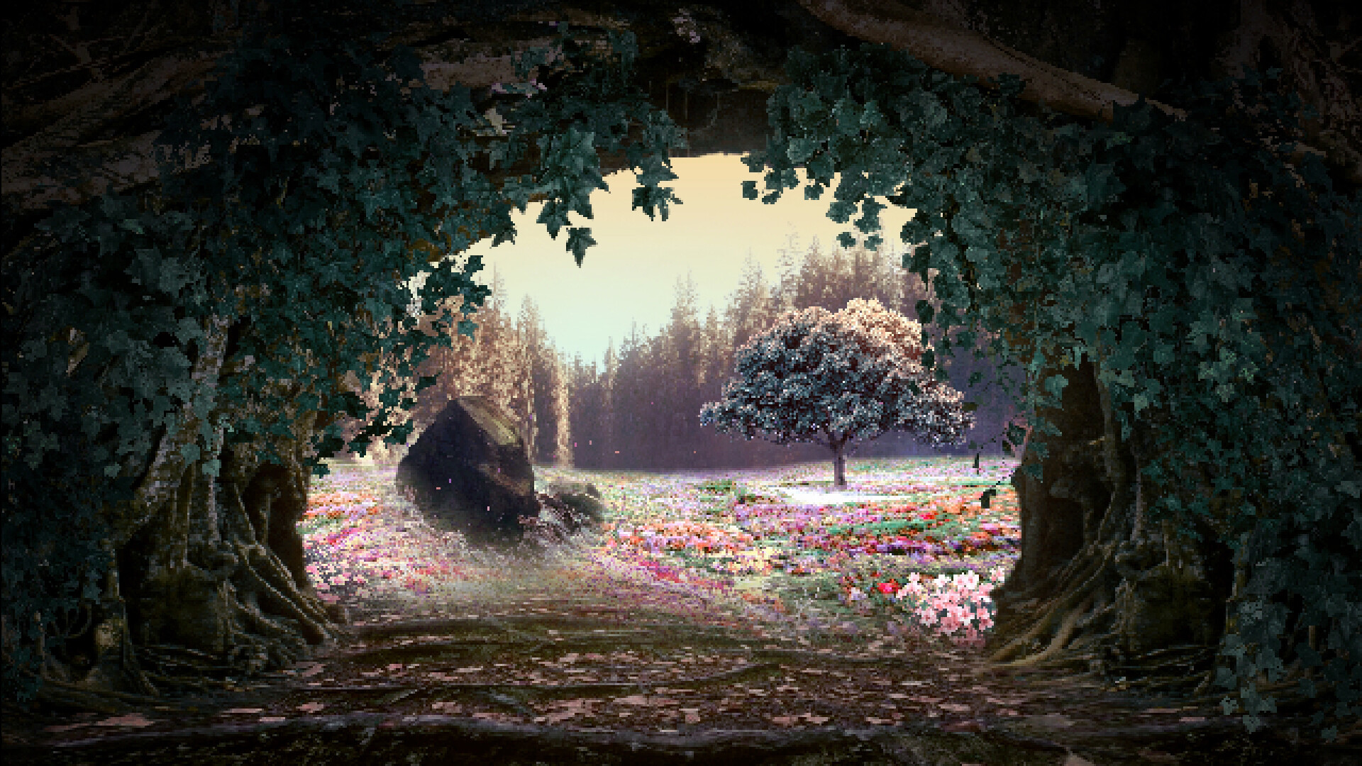 Cucina Stellata screenshot 6