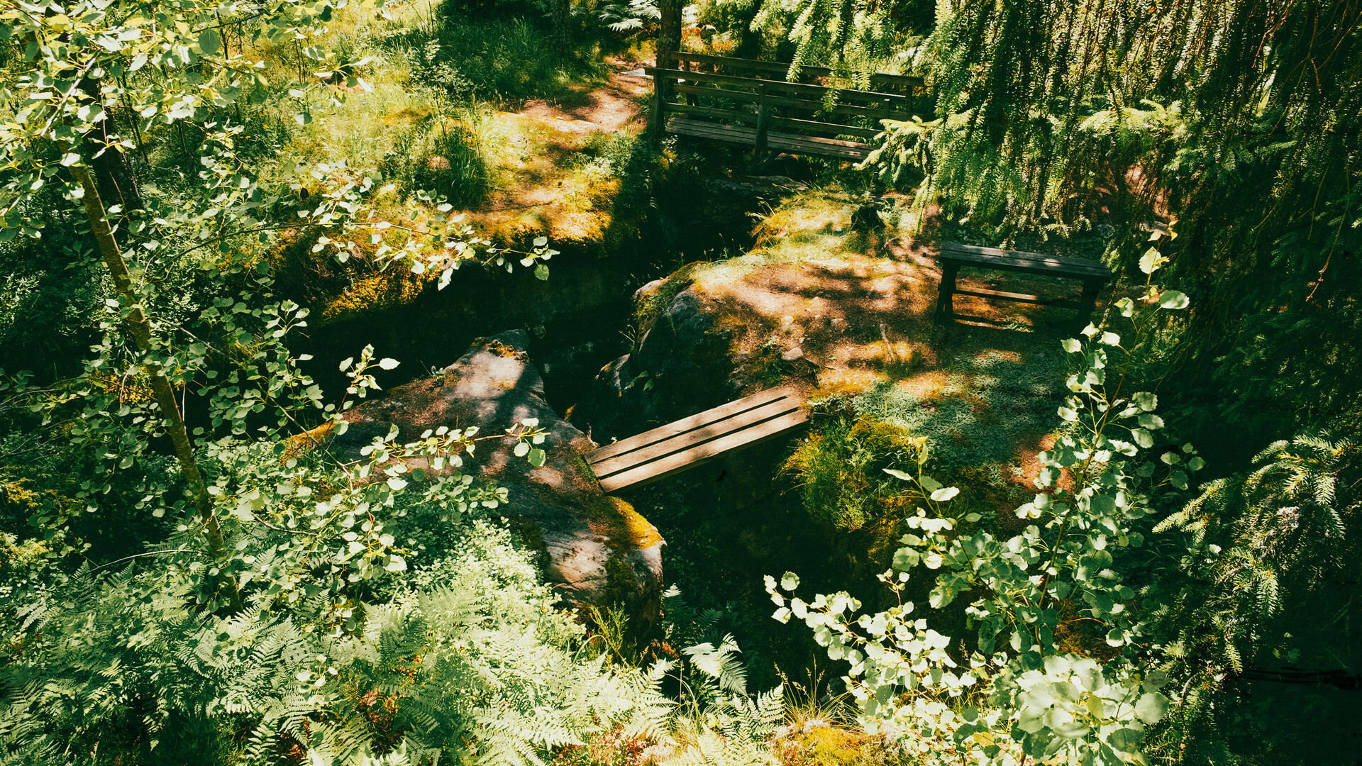 The Game Maker: A Carol Reed Mystery screenshot 6