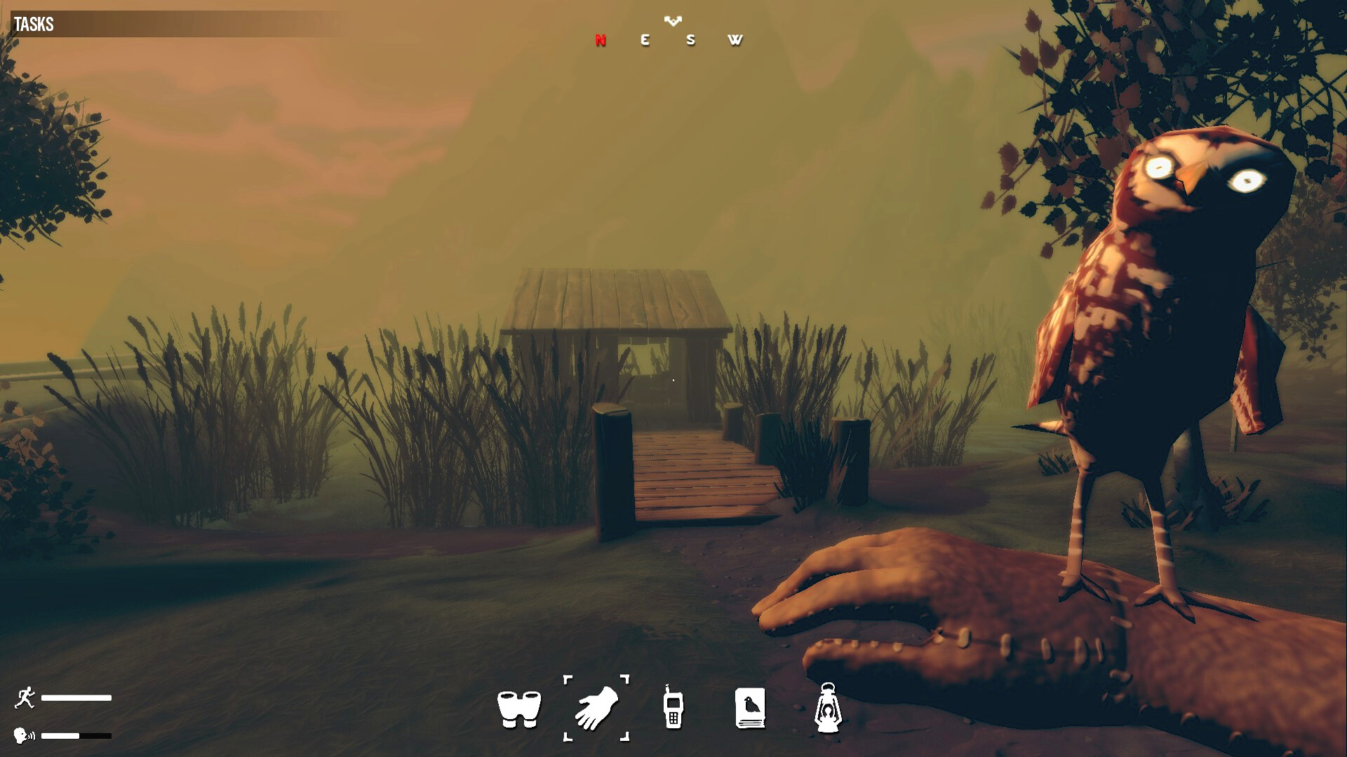 Birds Watching screenshot 4