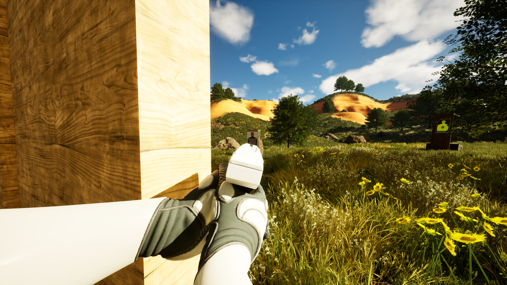Blank Canvas screenshot 5