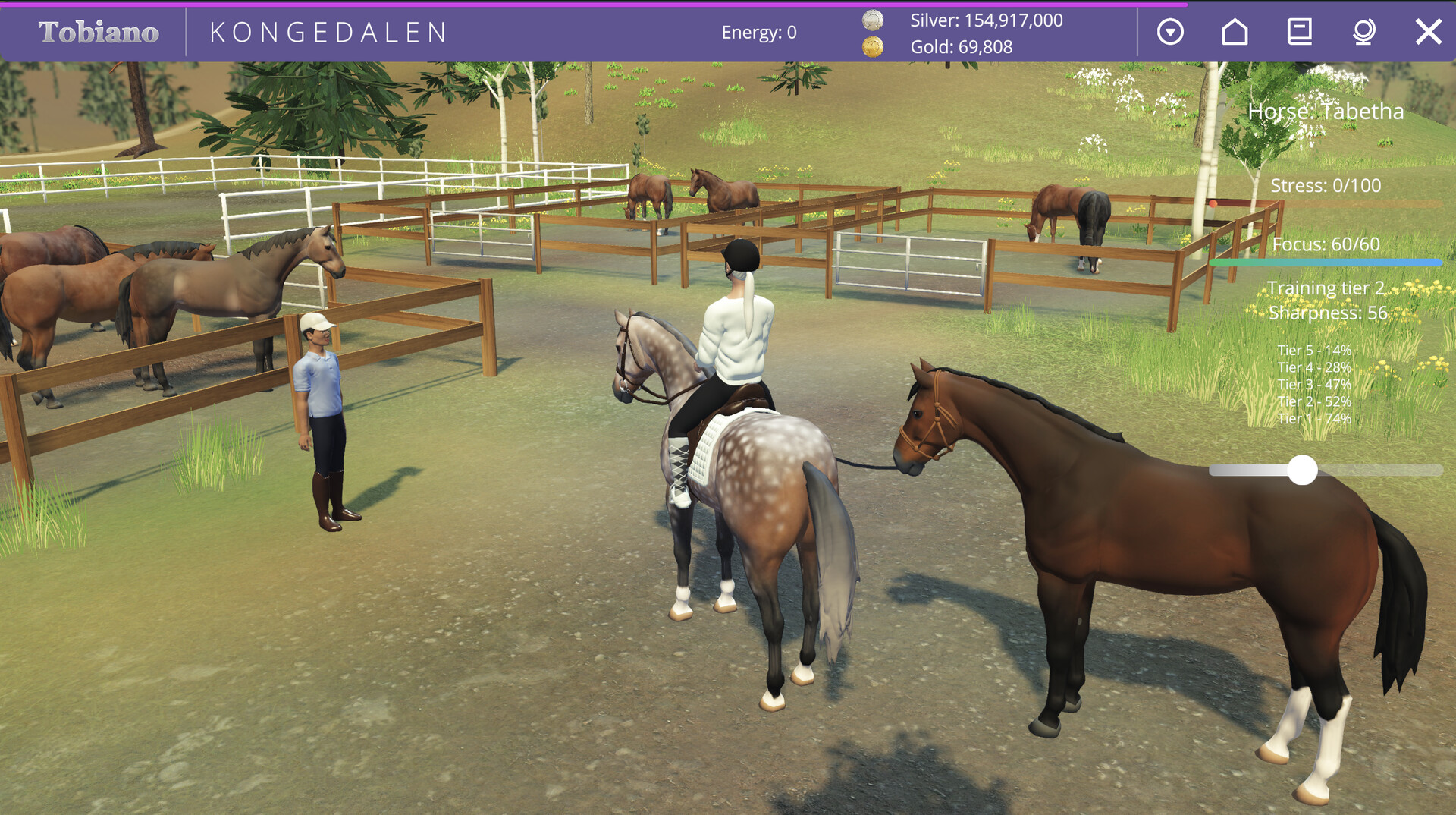 Tobiano screenshot 10