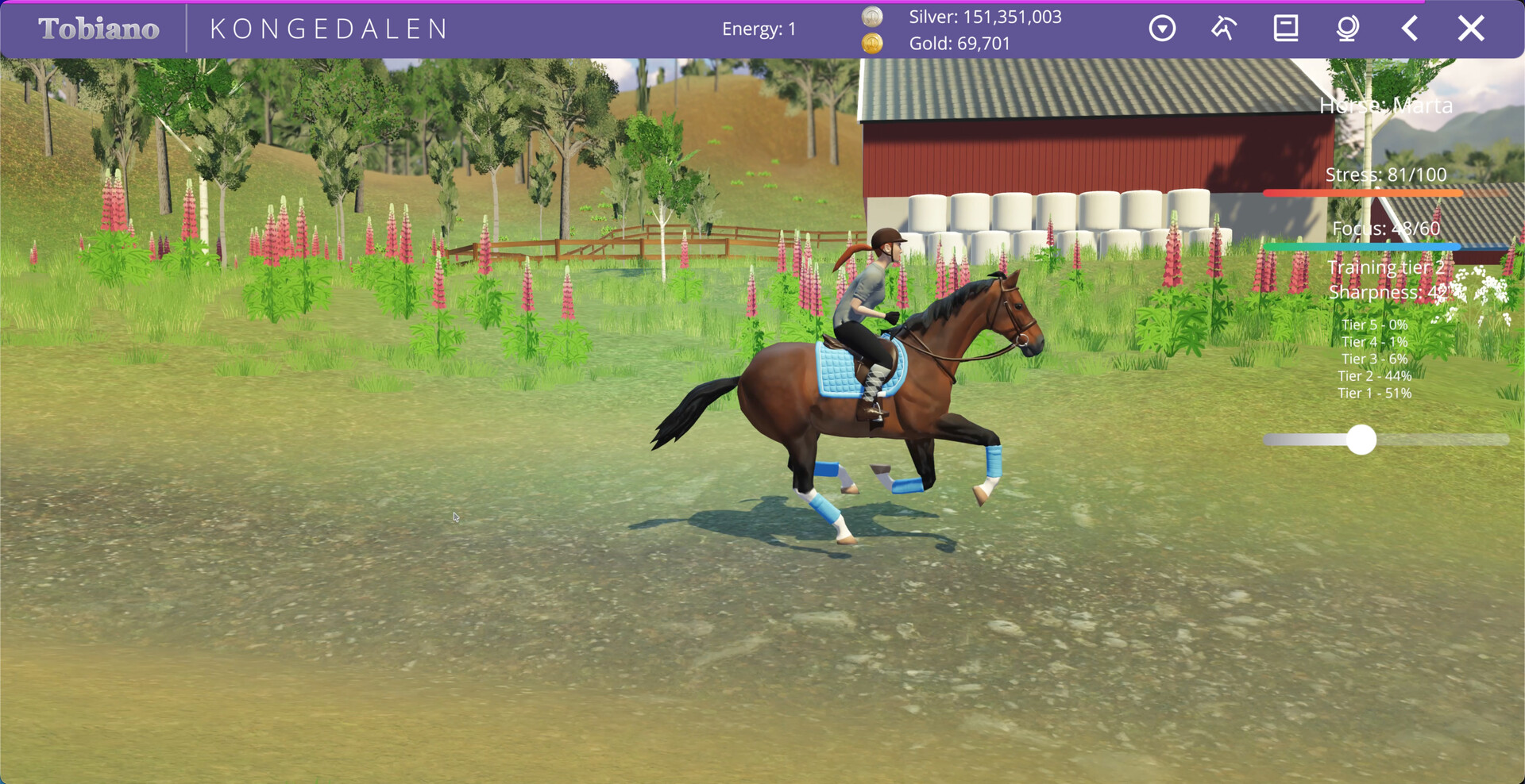 Tobiano screenshot 13