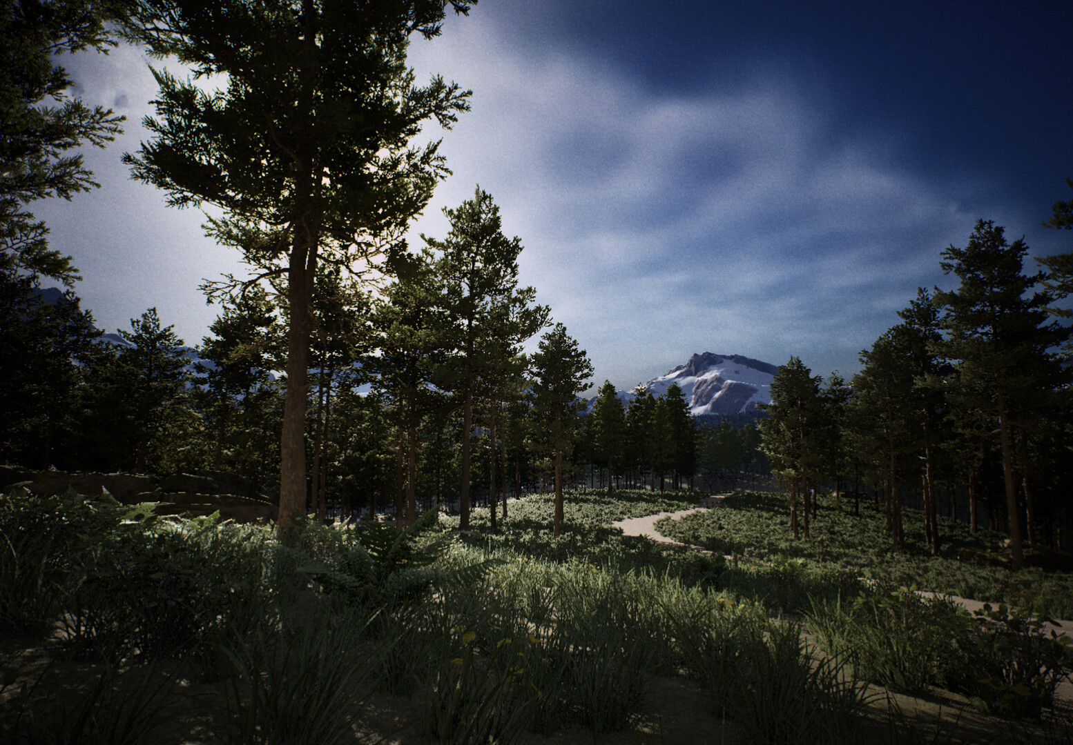 Shutter screenshot 1
