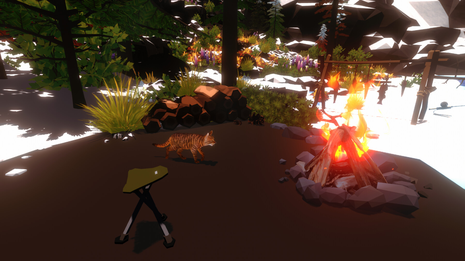 Campfire with Cat screenshot 4