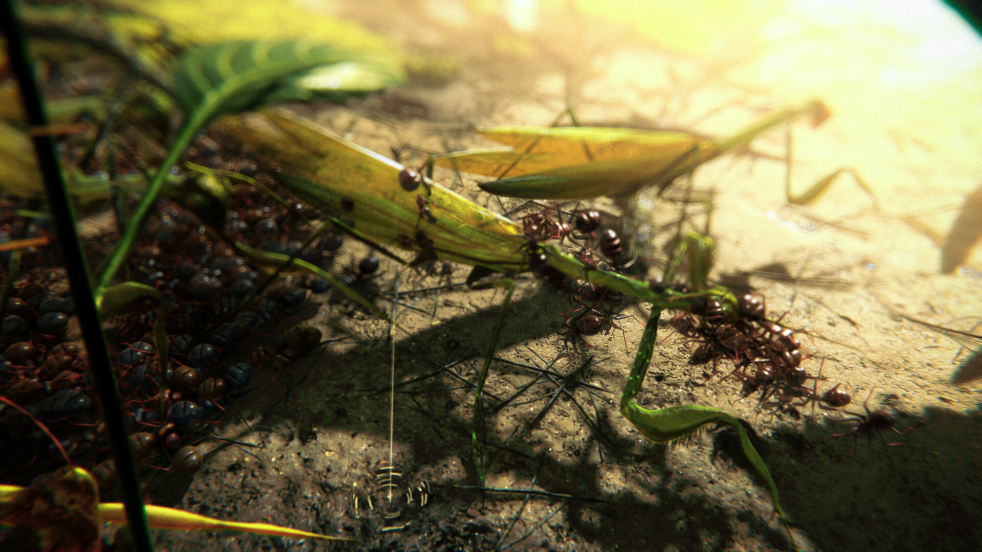 Ants Megapolis screenshot 7