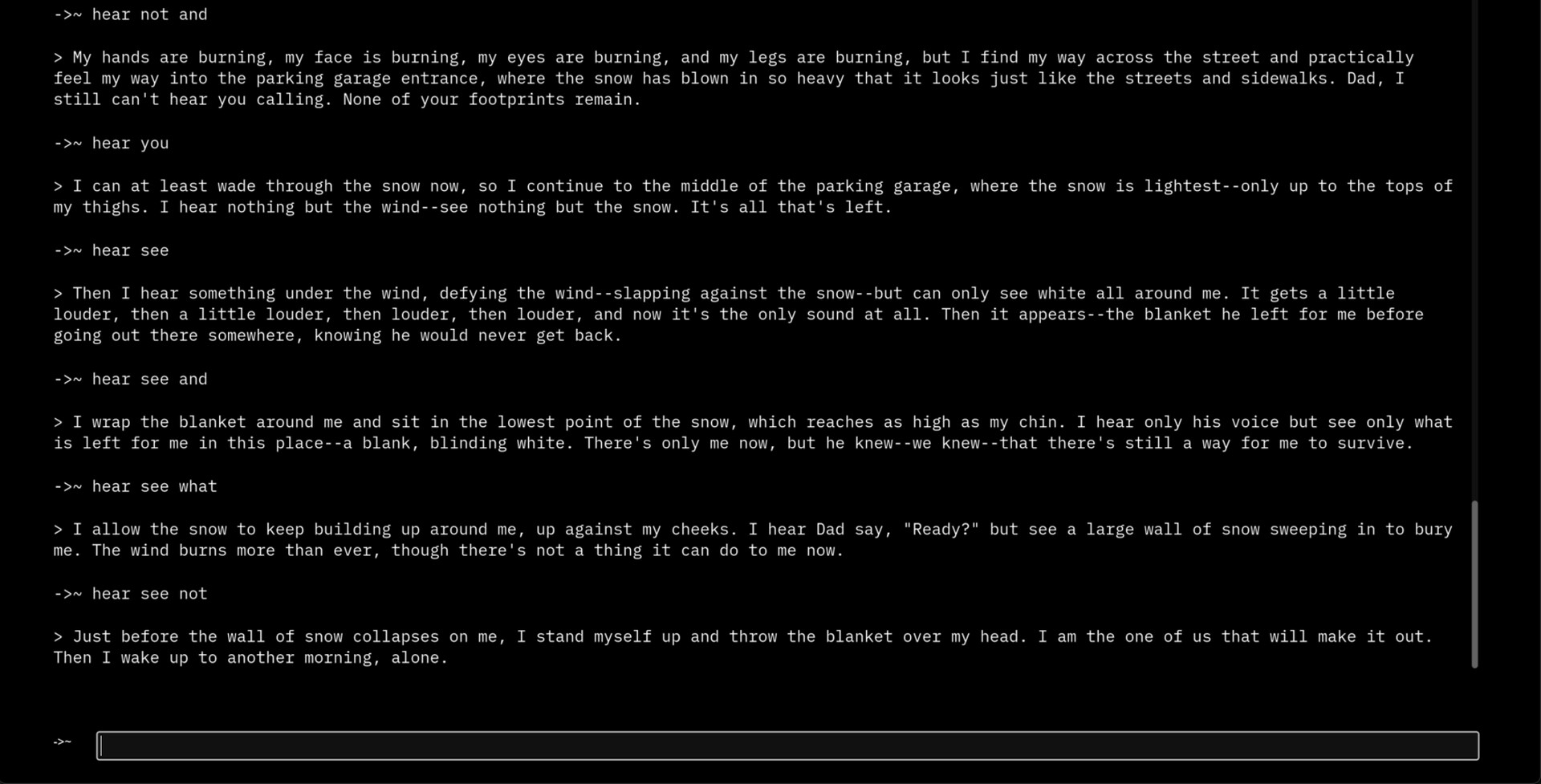 > Terminal screenshot 9
