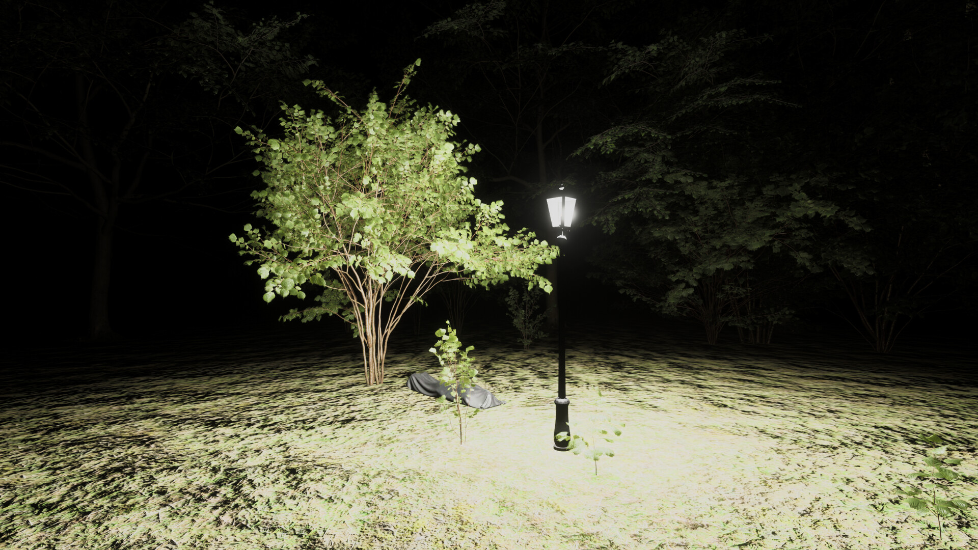 Forest of Fear - Into the Woods screenshot 2