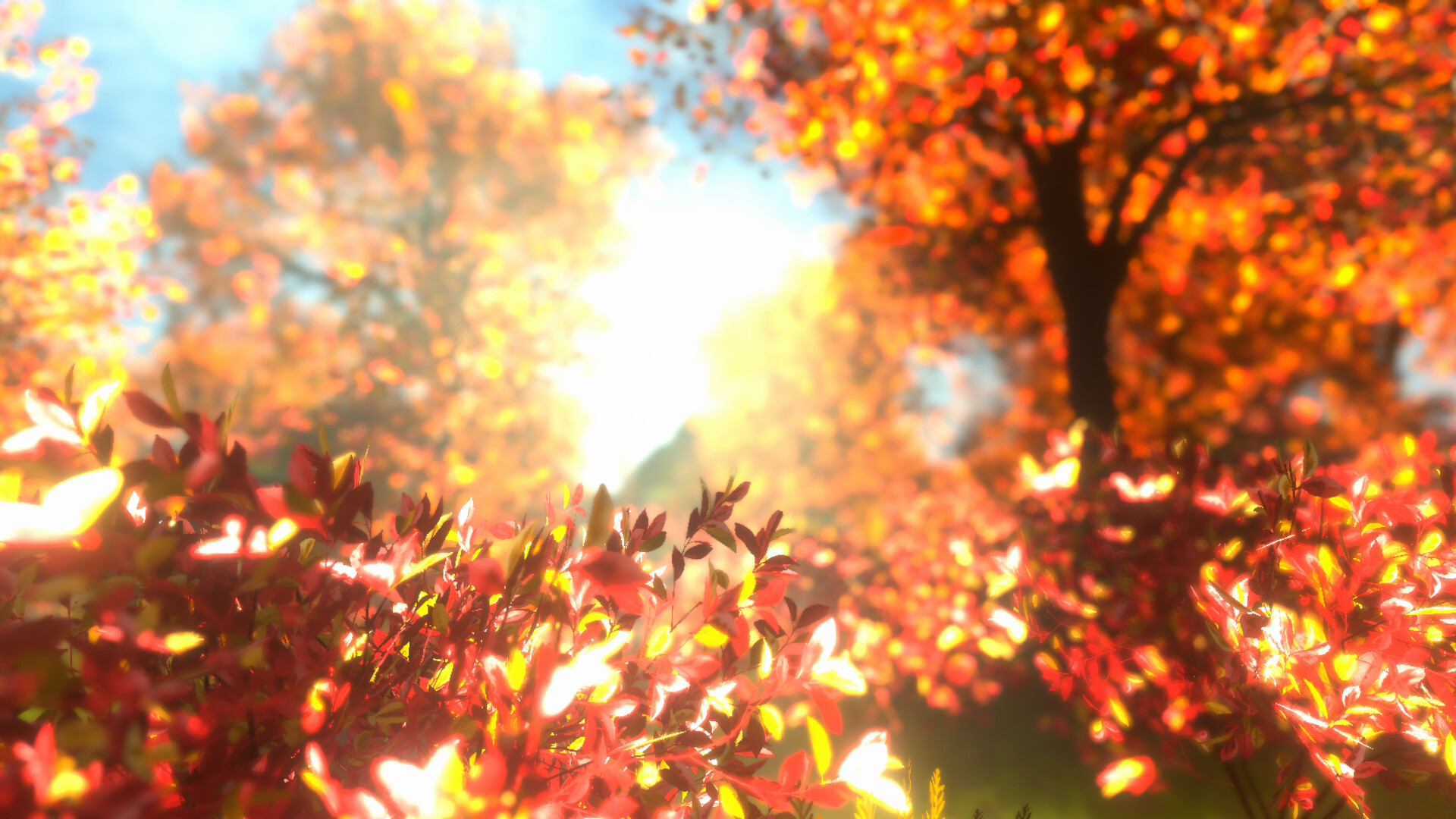 紅葉の泣き声 screenshot 1