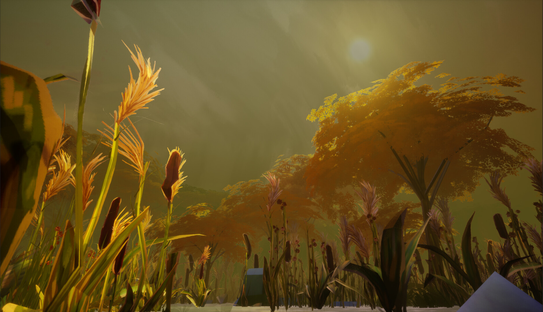 Wetland screenshot 3