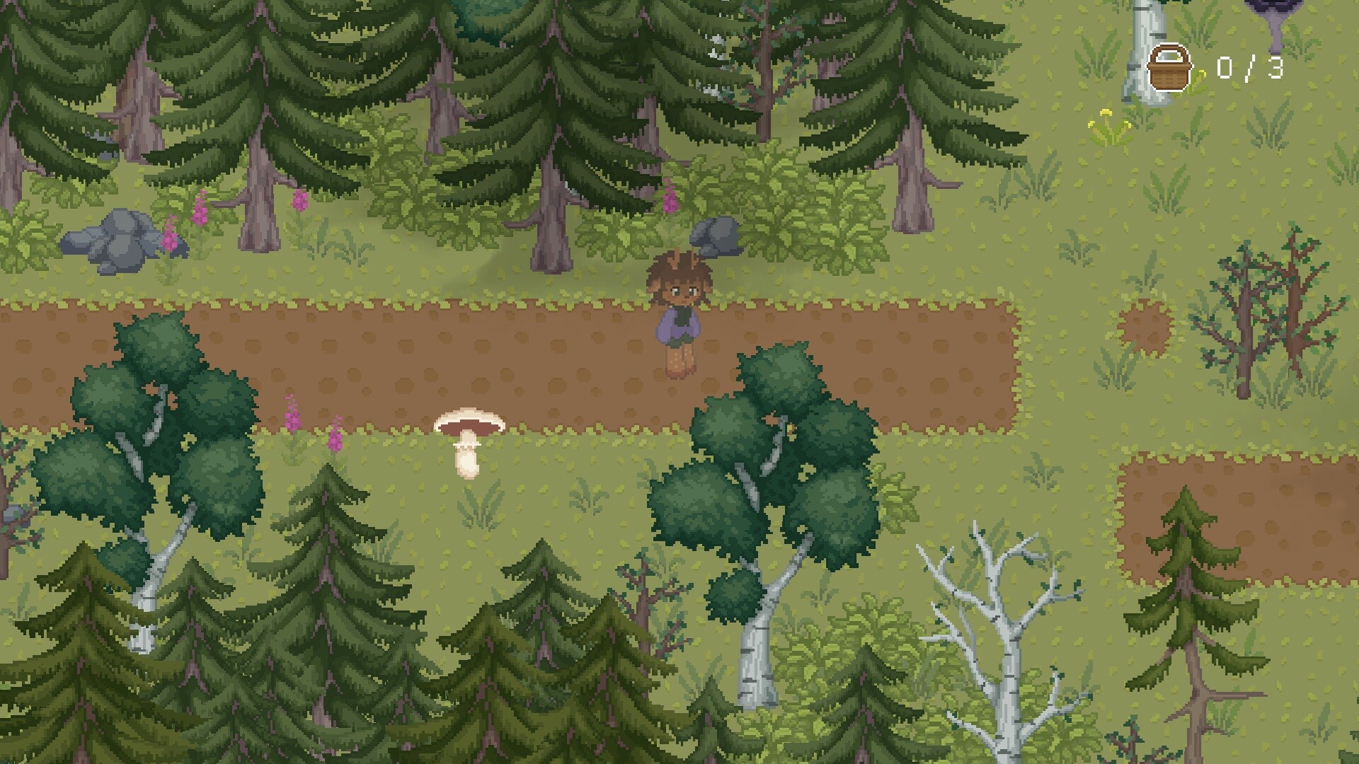 The Mushroom Journal screenshot 1