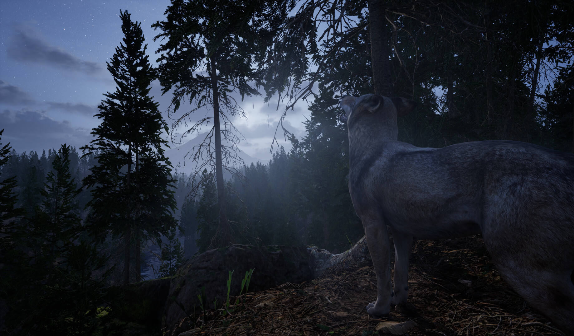 Online: 404 screenshot 8