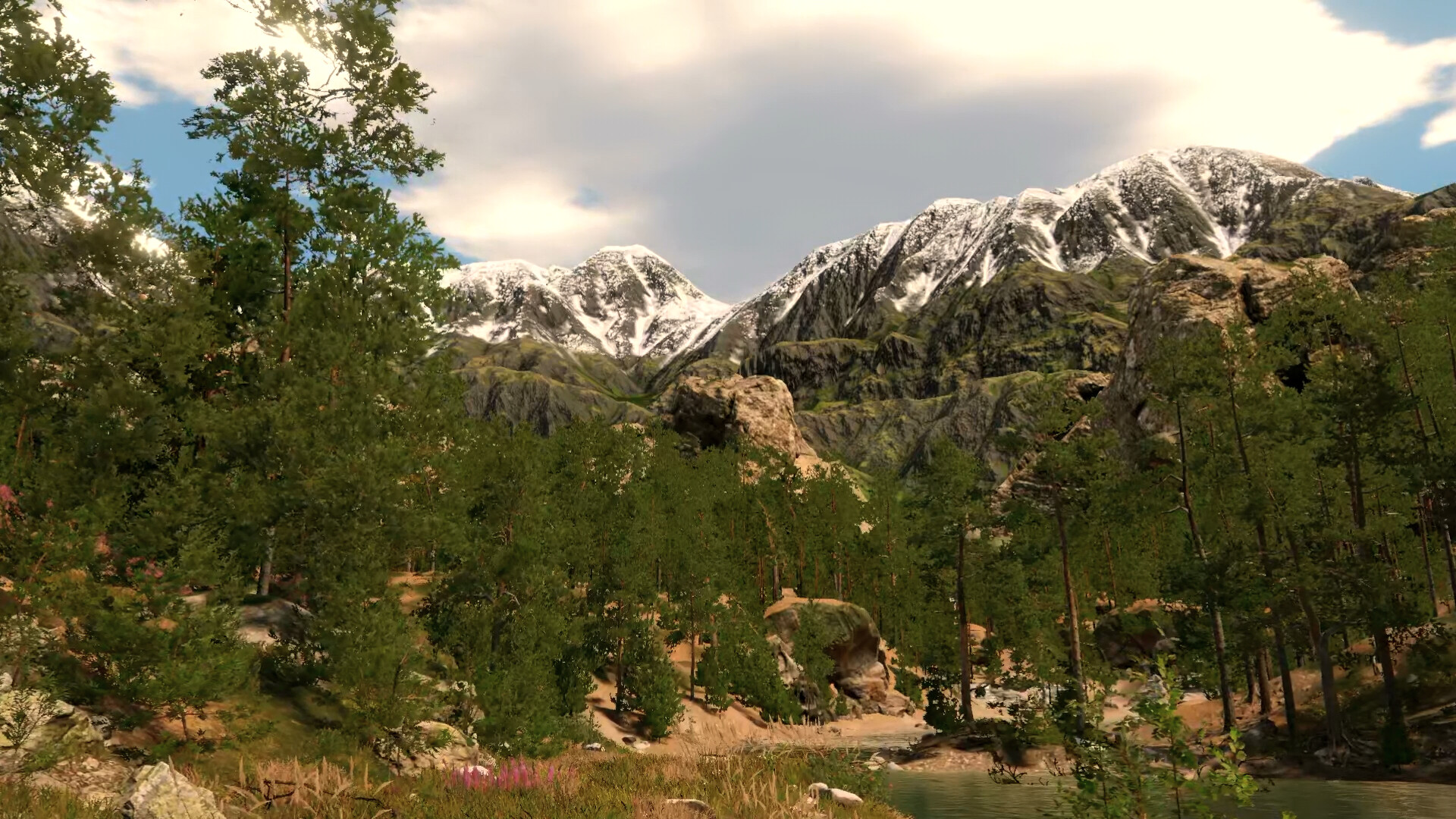 Capture The Wild screenshot 8