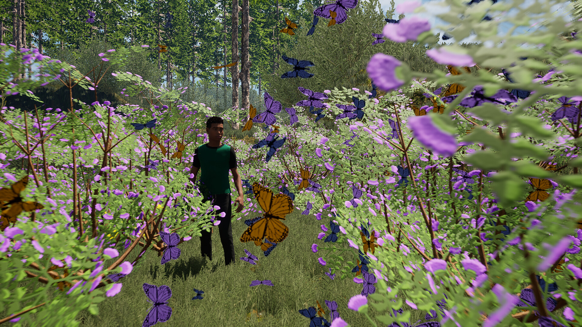 The Fox, The Forest & The Darkness screenshot 2