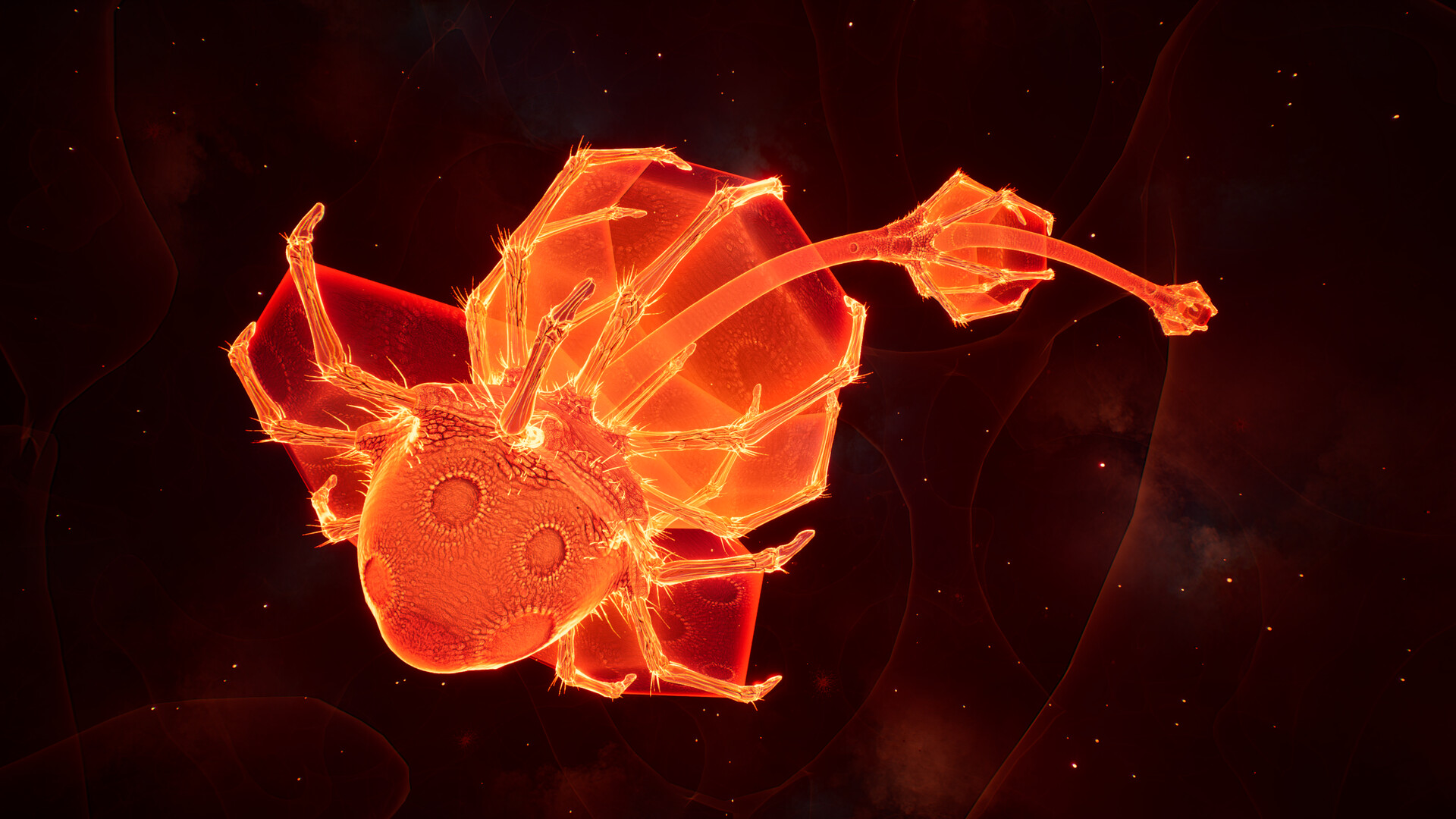 Lifecycles of the Traveler Spider screenshot 3