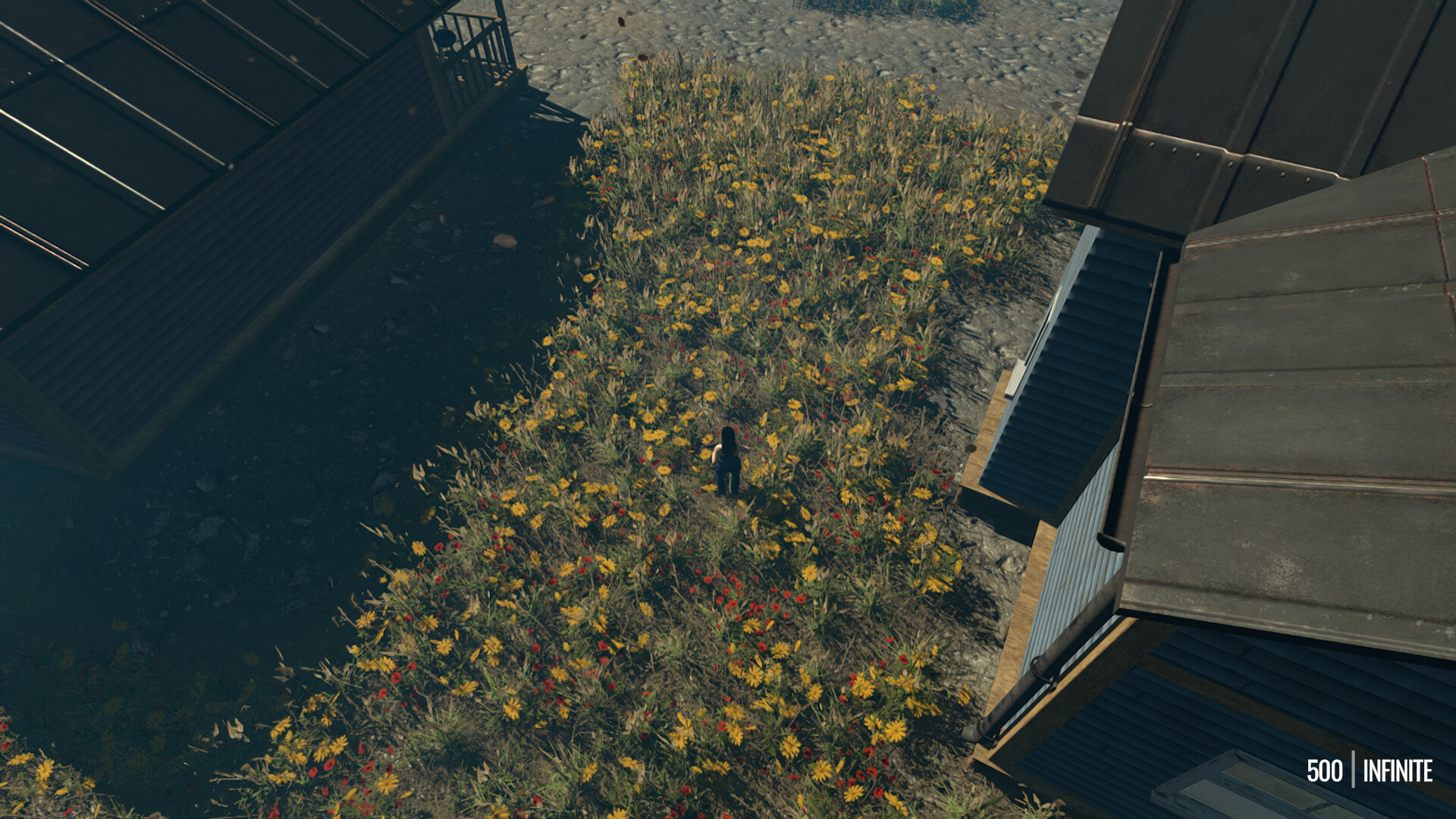 DISTANT VISITANT screenshot 3