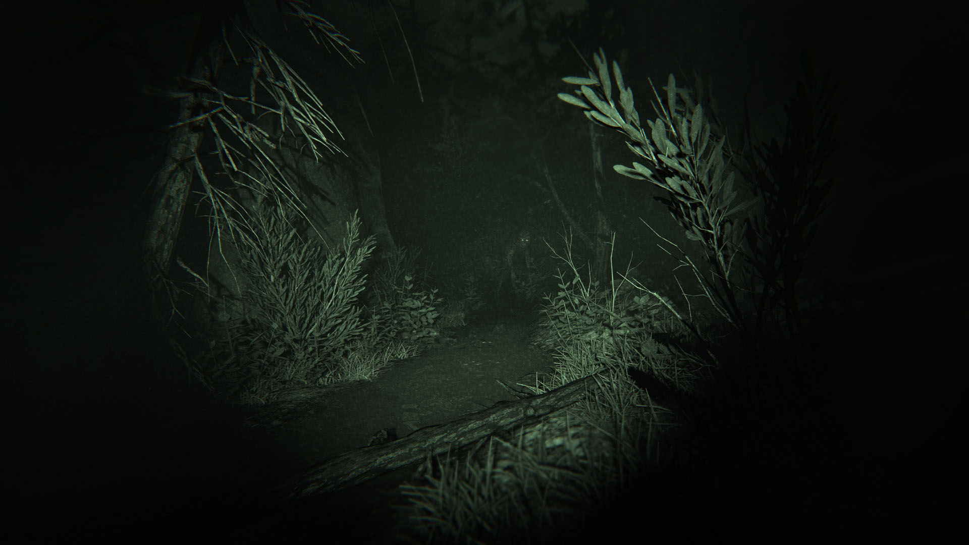 Outlast 2 screenshot 19