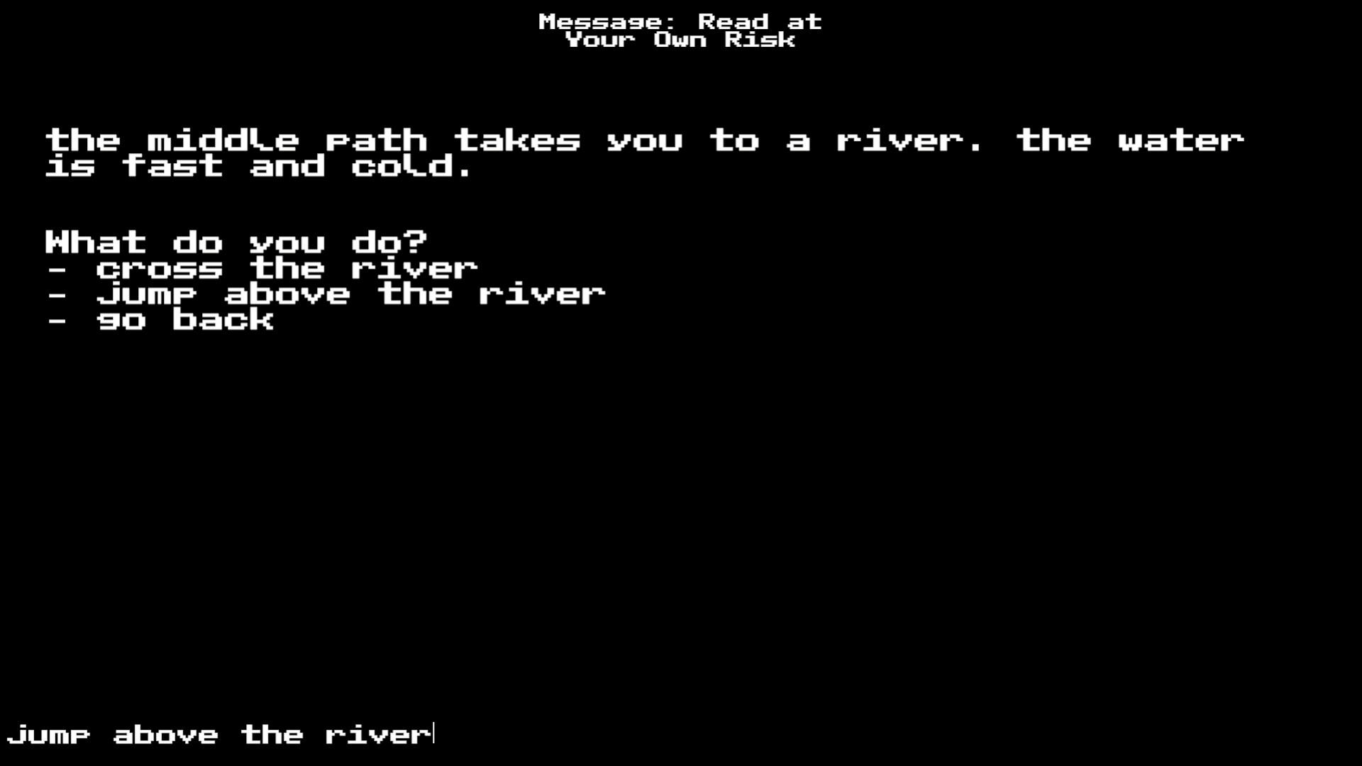 Message: Read at Your Own Risk screenshot 4