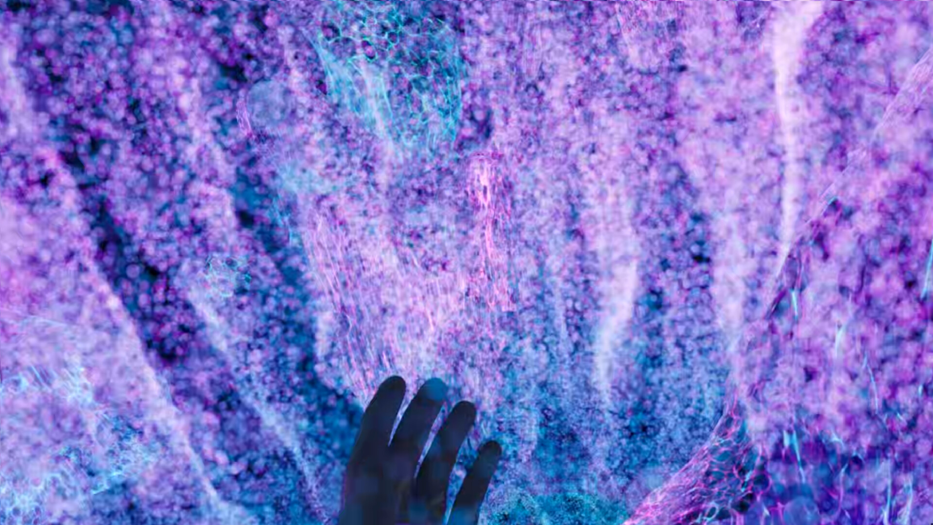 Miracle Vibe Show VR screenshot 1