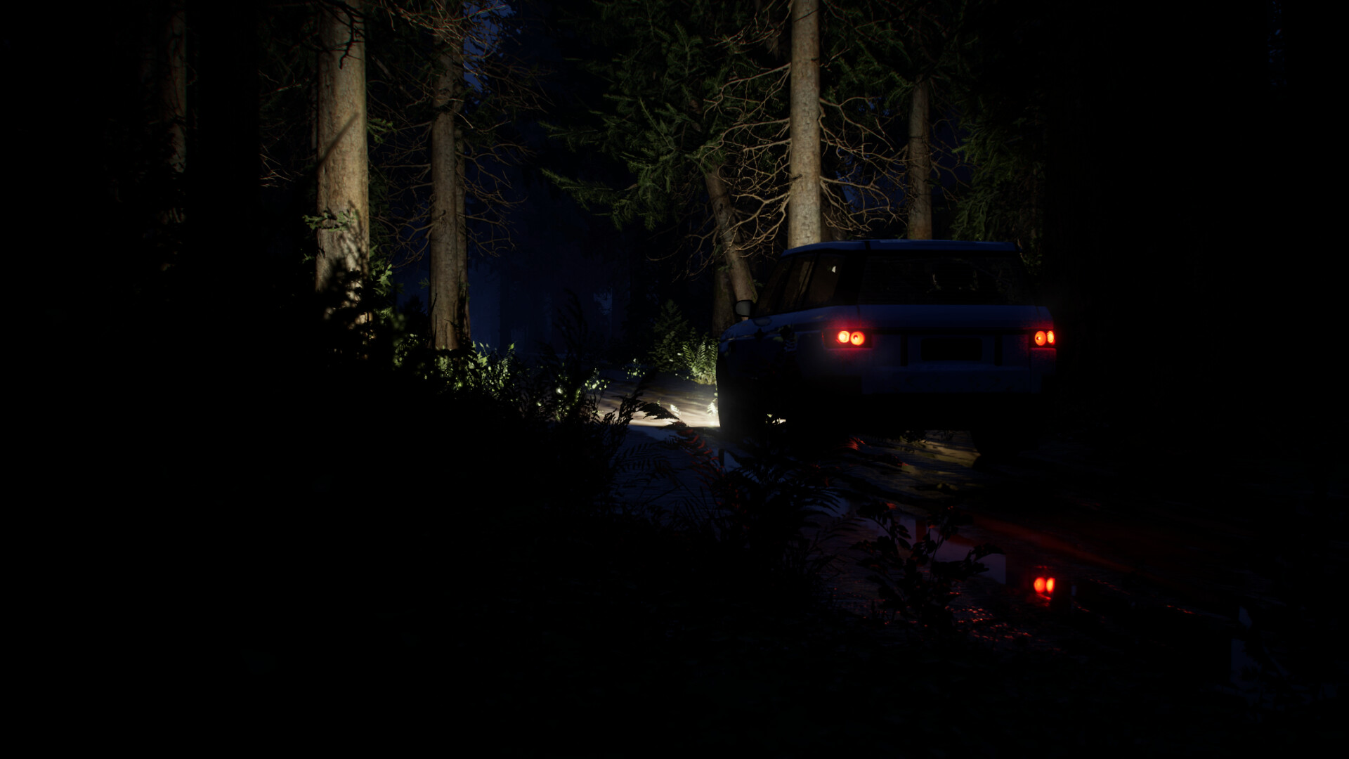 Veil of Mist screenshot 4