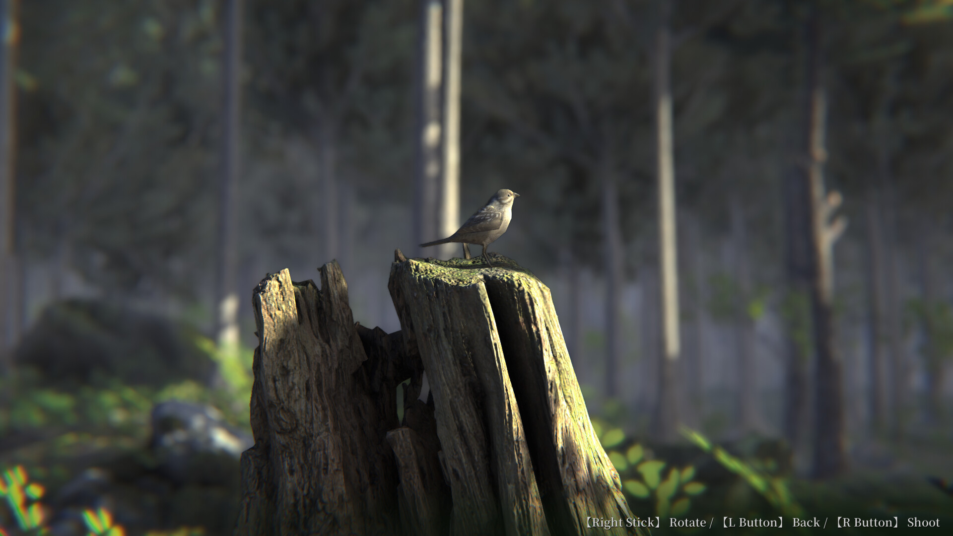 Jukai Maze screenshot 10