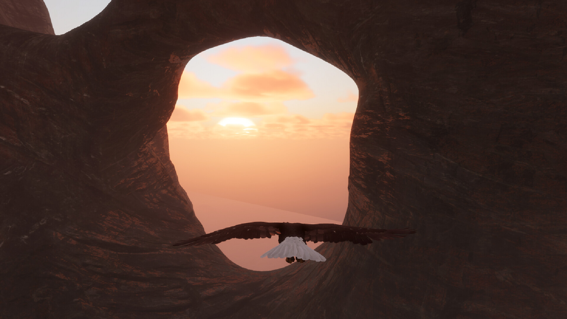 Bird Game 3 screenshot 5