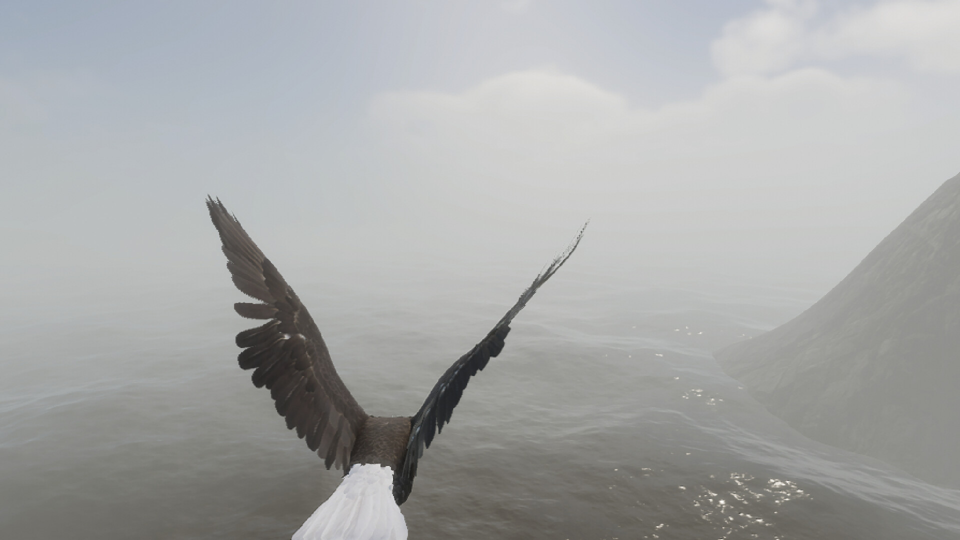 Bird Game 3 screenshot 6