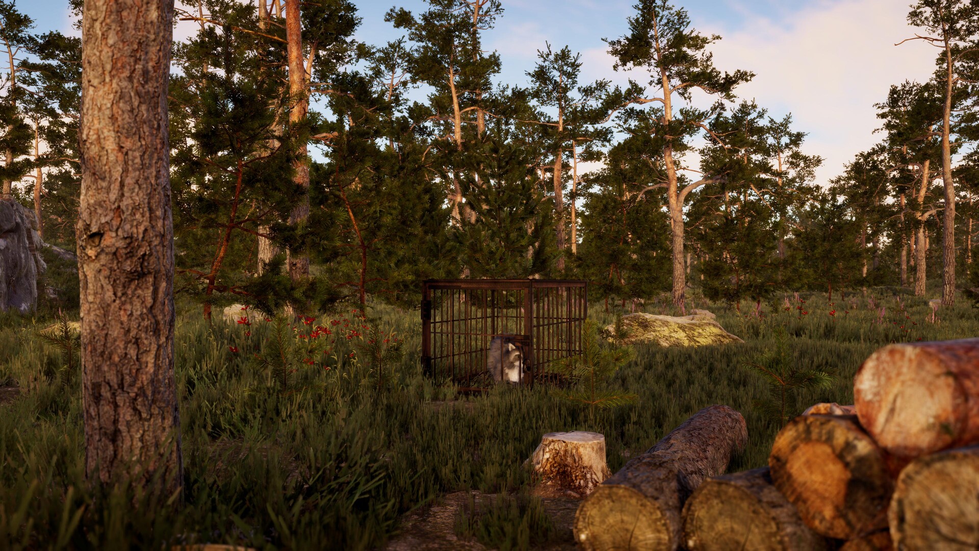 The lost trail screenshot 1