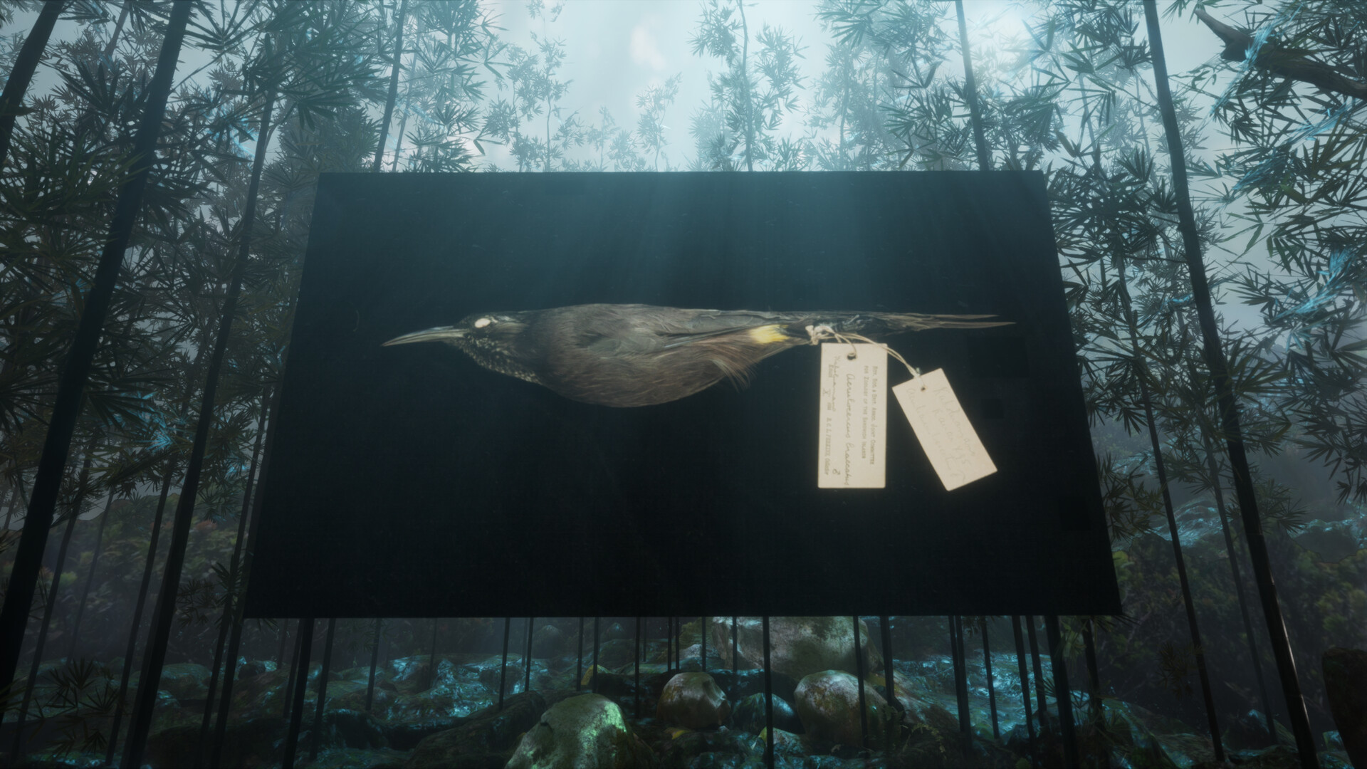 RE-ANIMATED screenshot 4