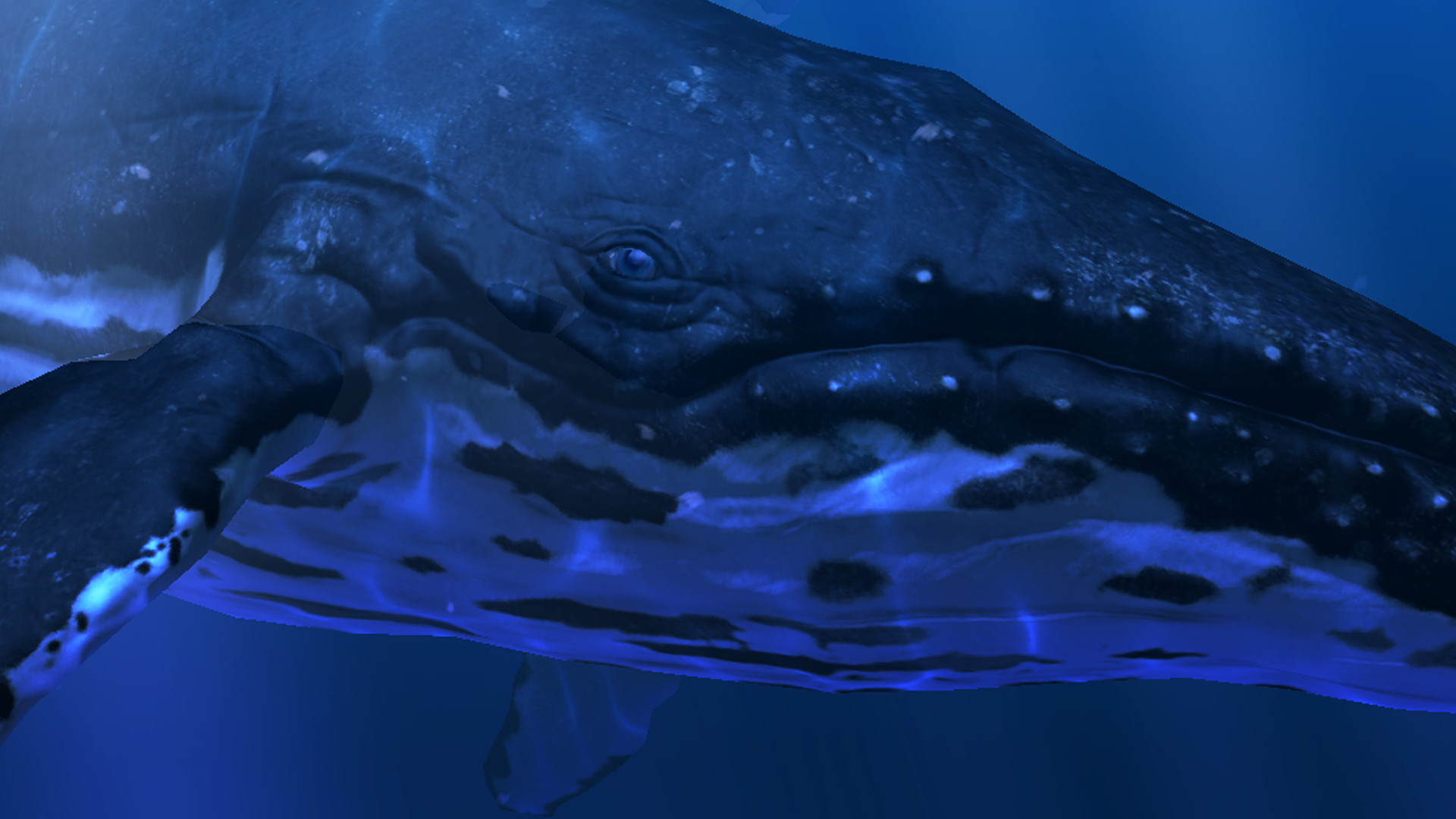 Ocean Rift screenshot 3