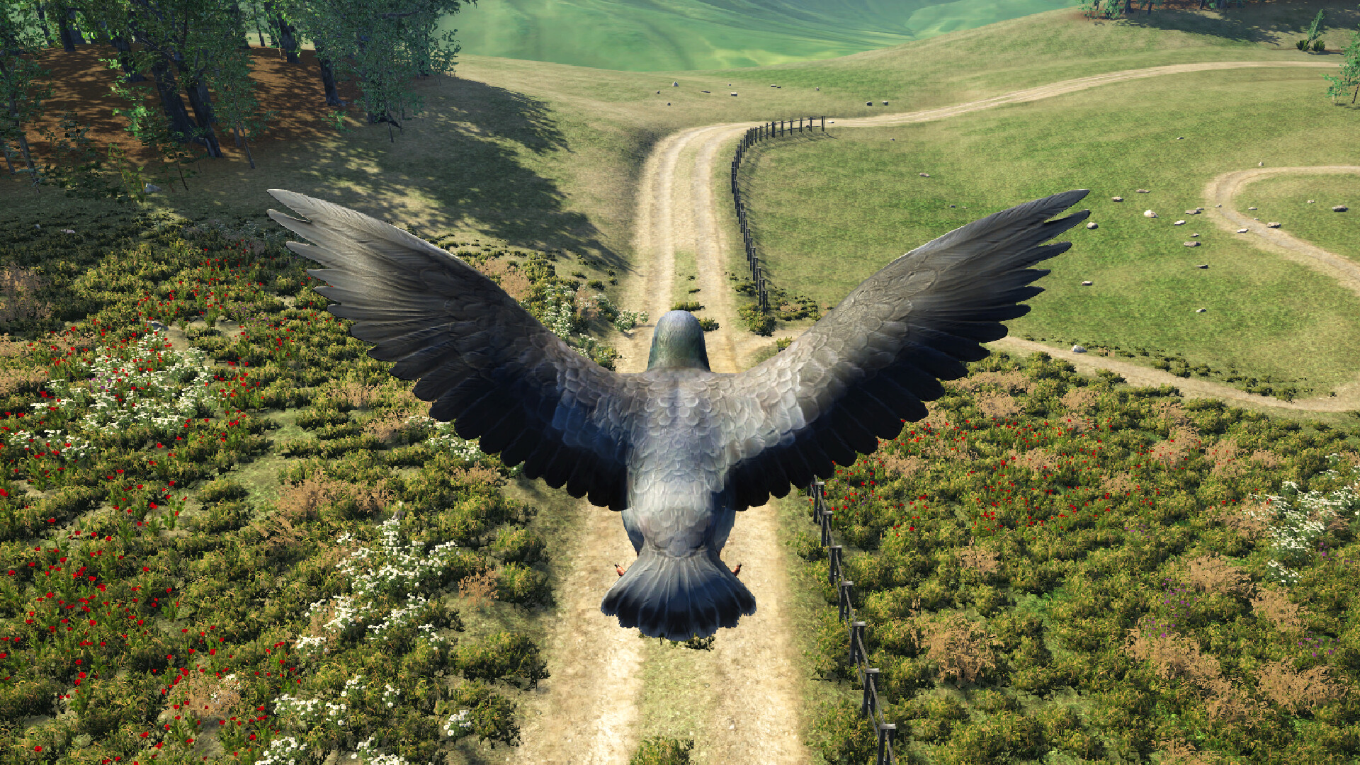 Bird Game 3 Online screenshot 3