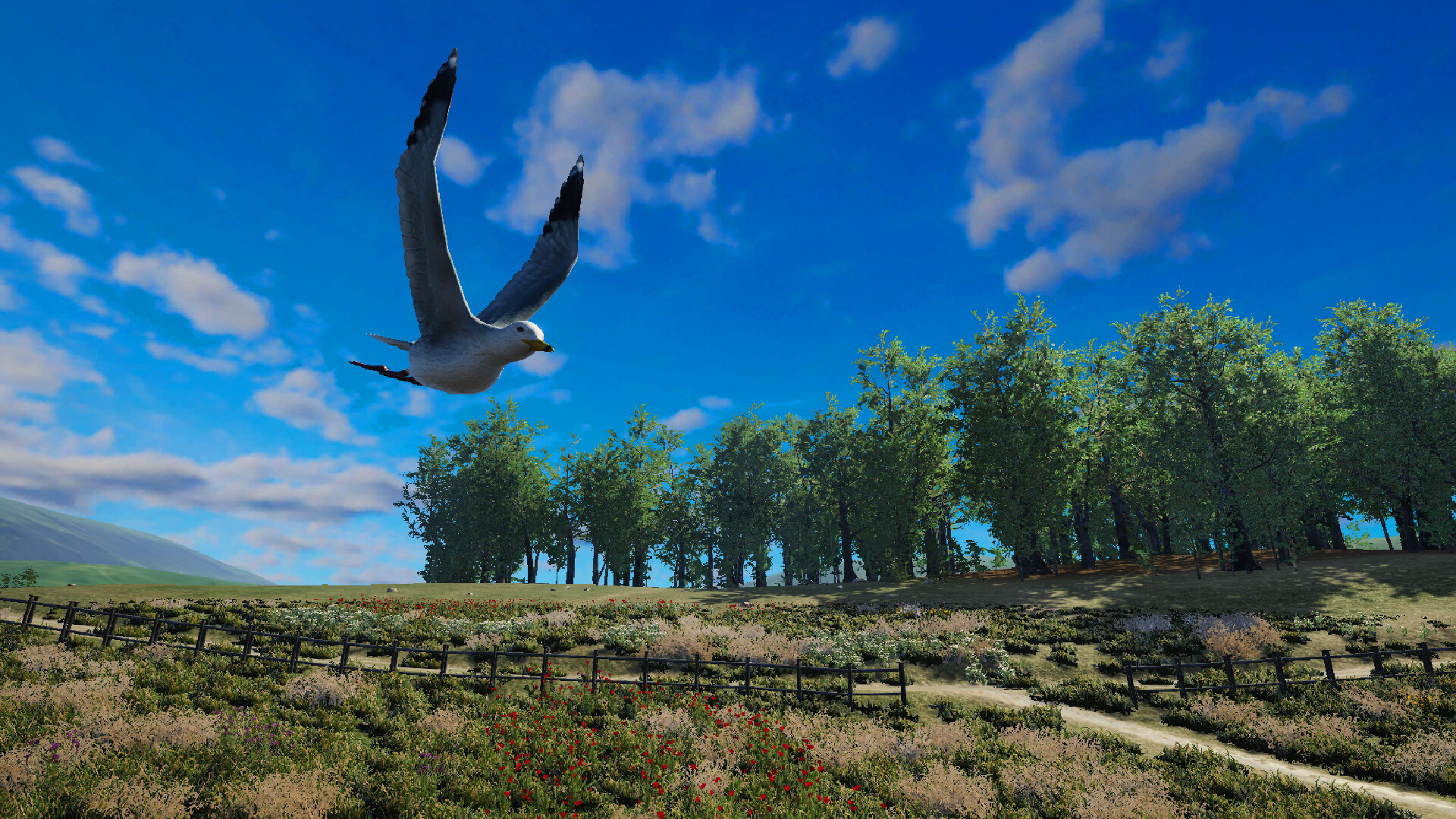 Bird Game 3 Online screenshot 4