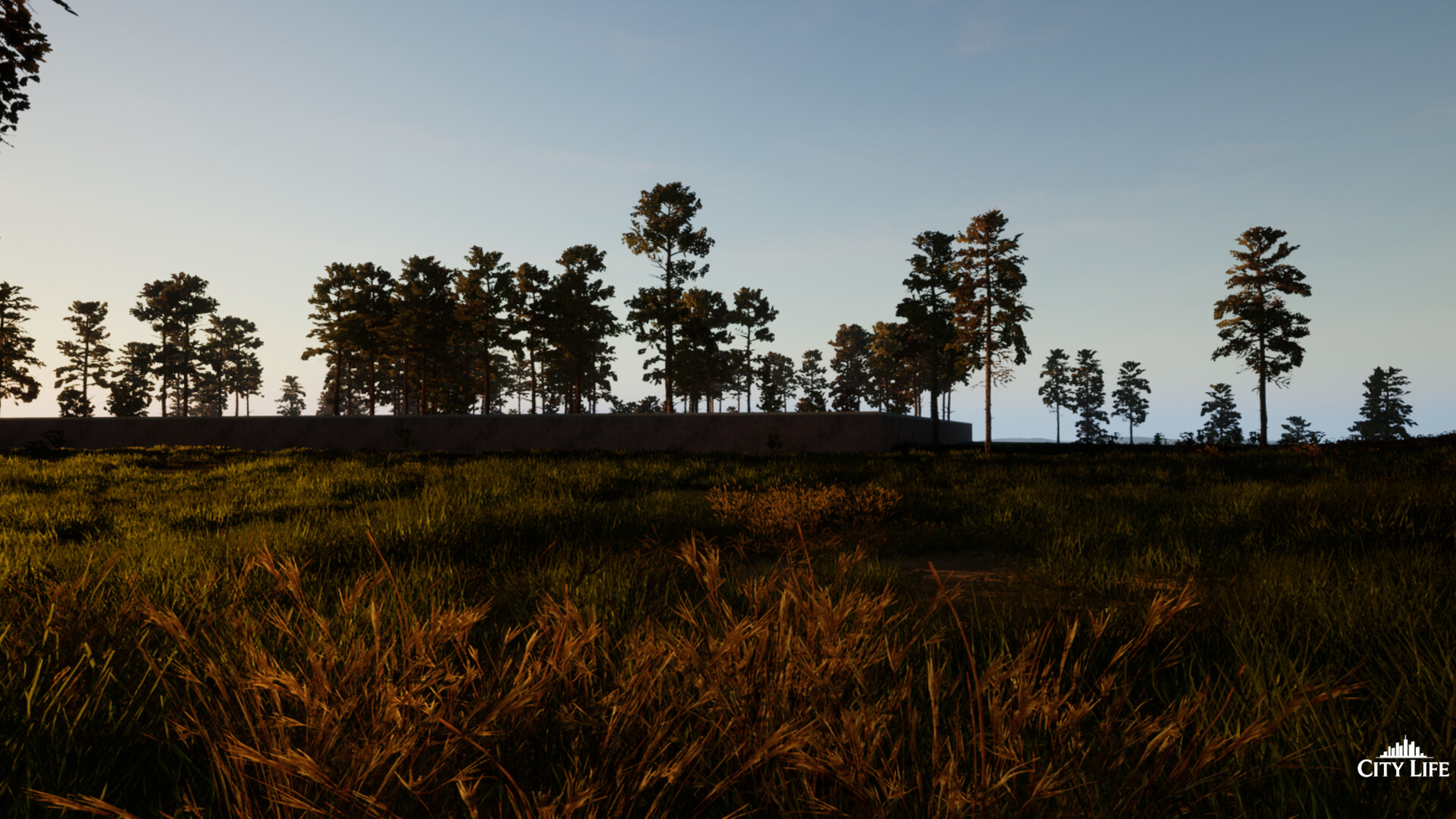 The City Life screenshot 12