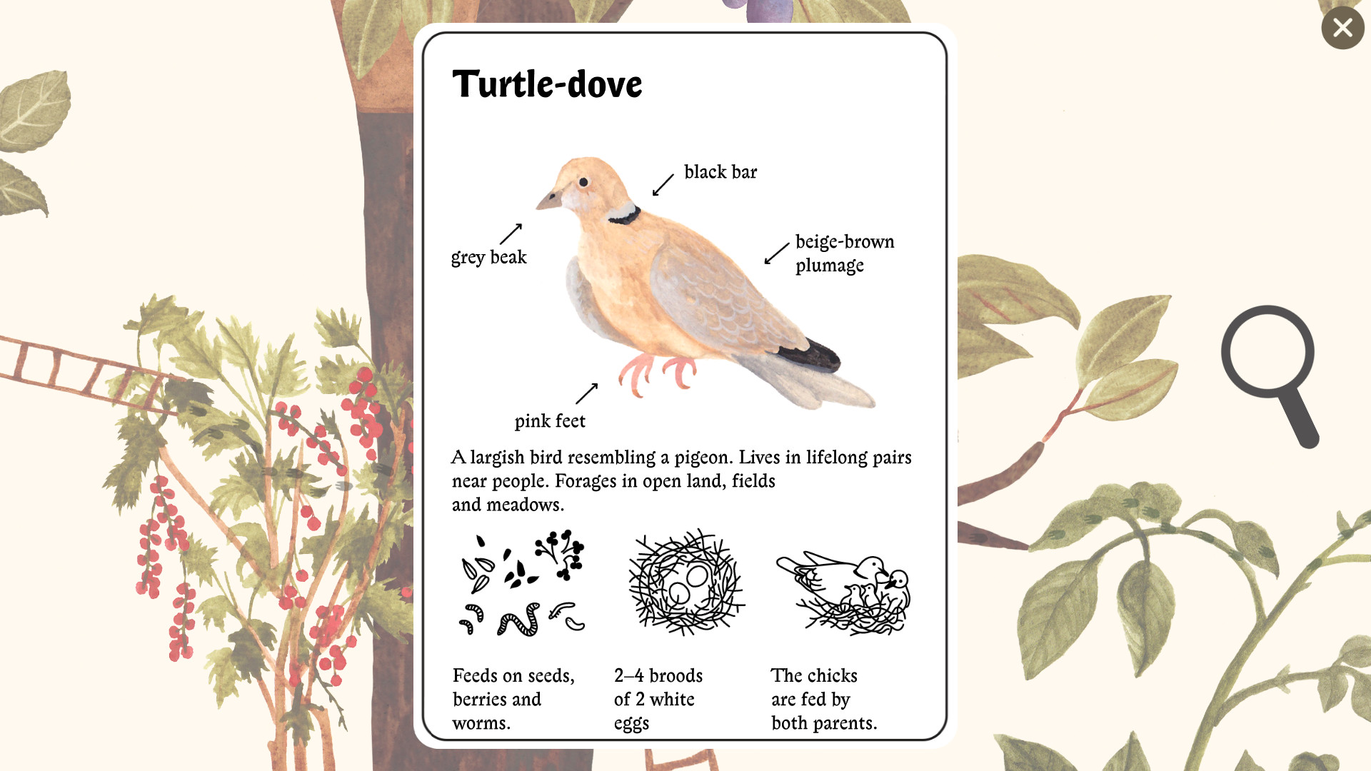 Little Mouse's Encyclopedia screenshot 4
