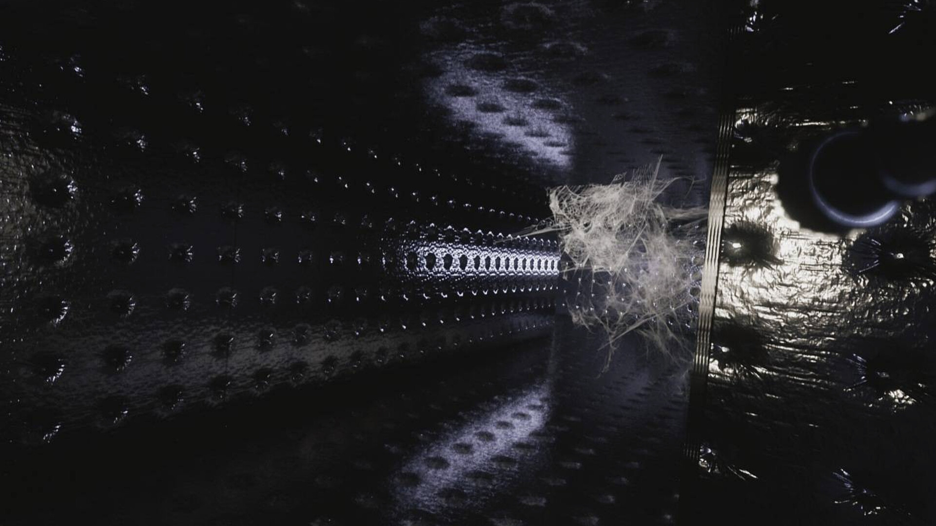 Veylora screenshot 4