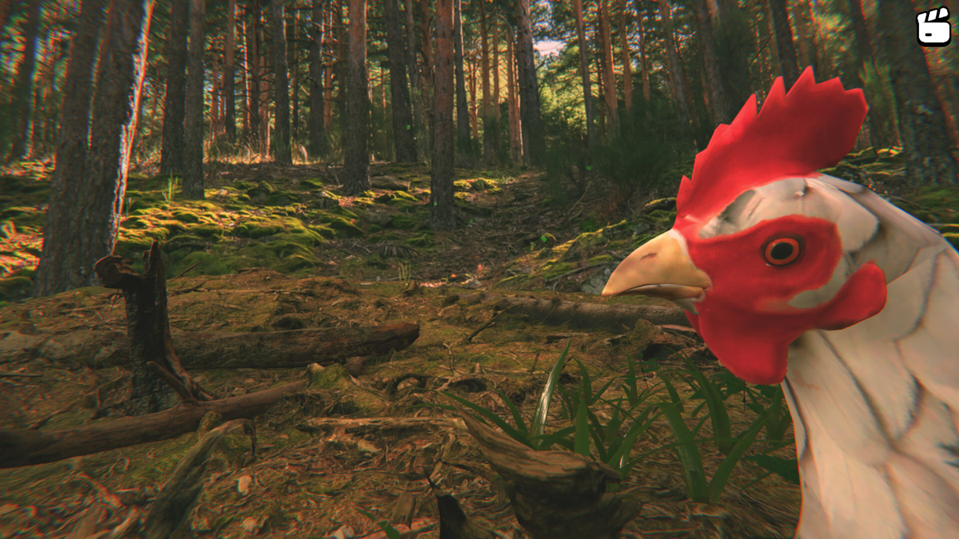 Catch the Chiken screenshot 2