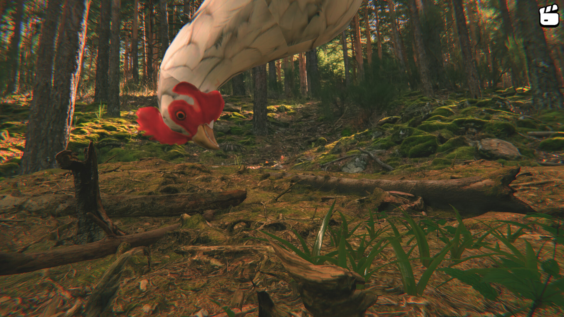 Catch the Chiken screenshot 5