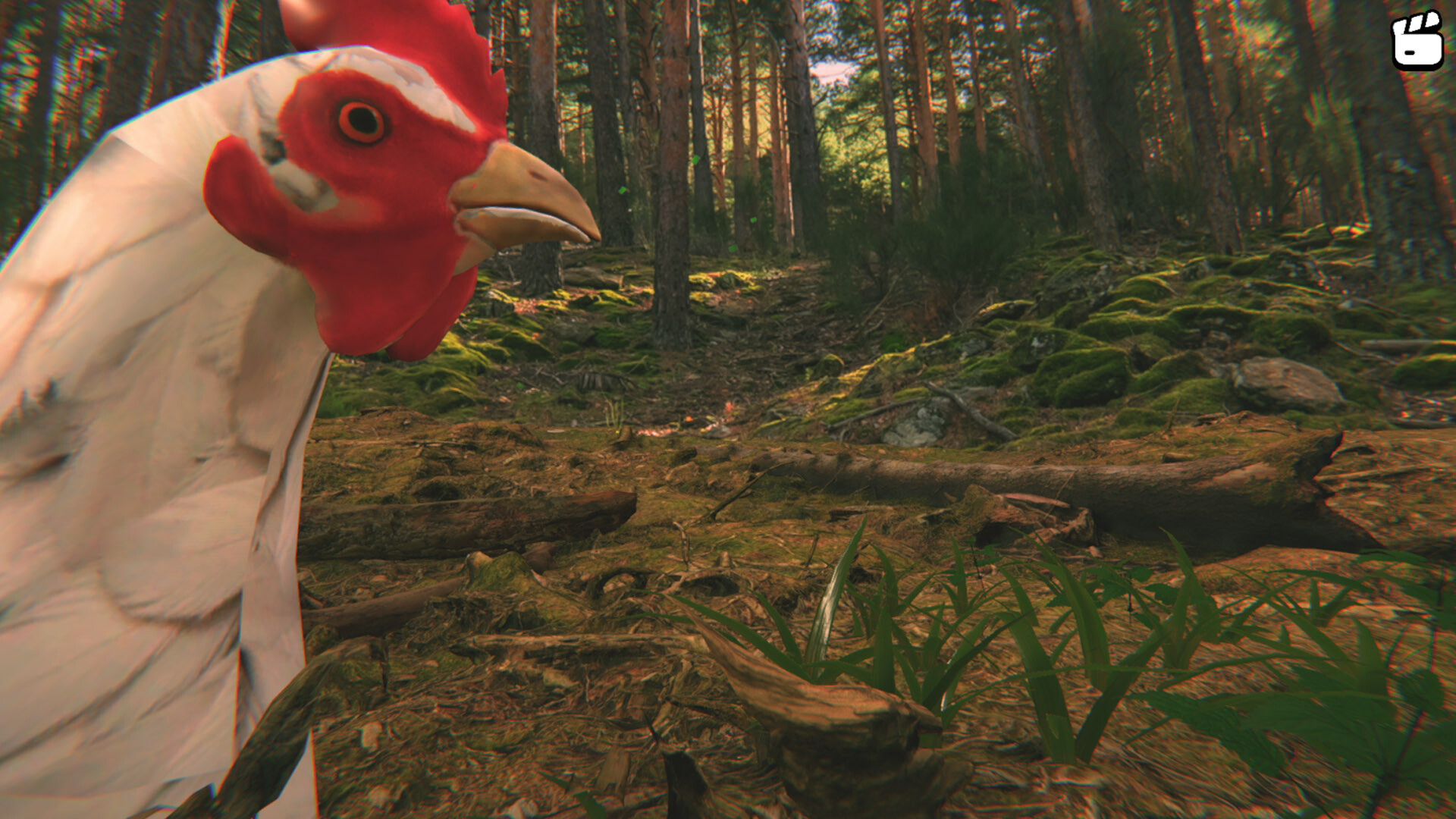 Catch the Chiken screenshot 3