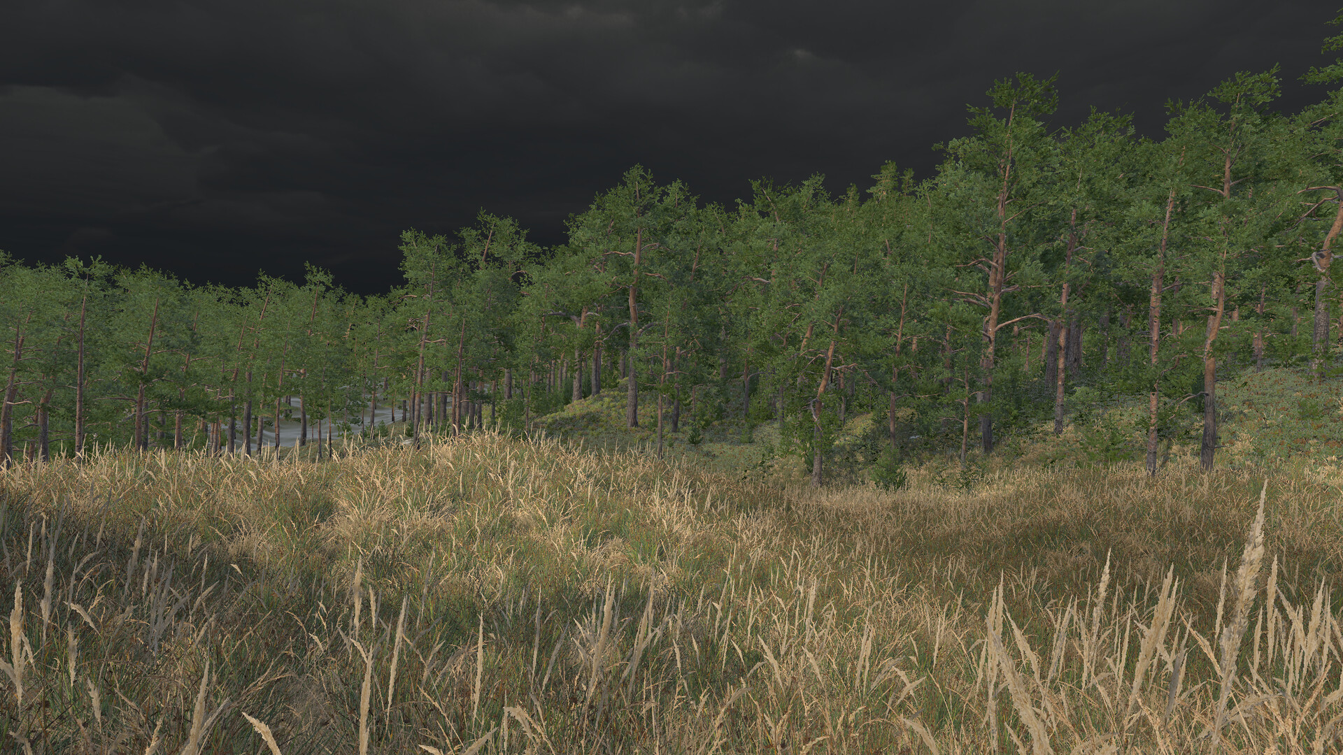 Infinite Orienteering: The Hiker's Path screenshot 9