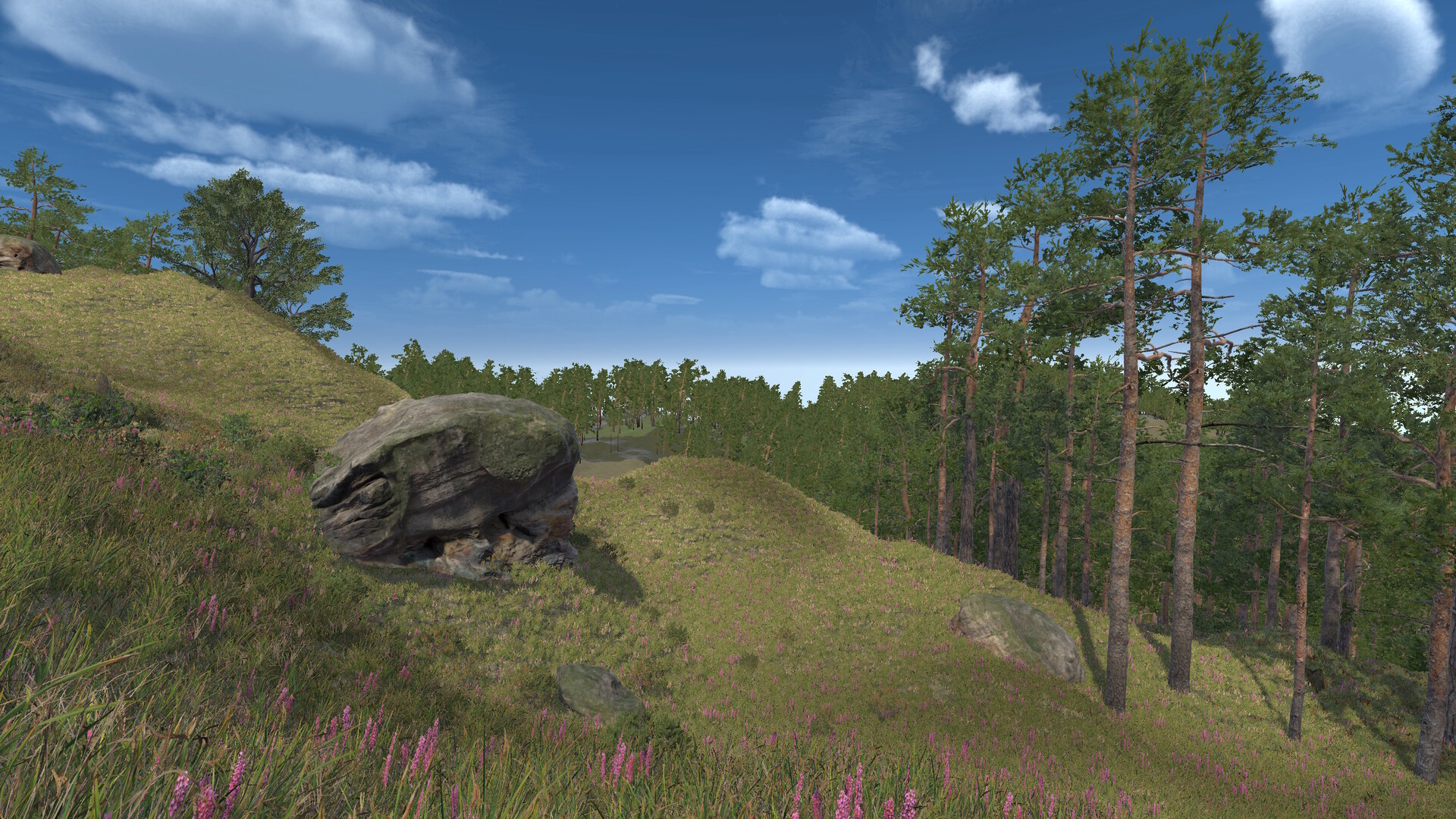 Infinite Orienteering: The Hiker's Path screenshot 5