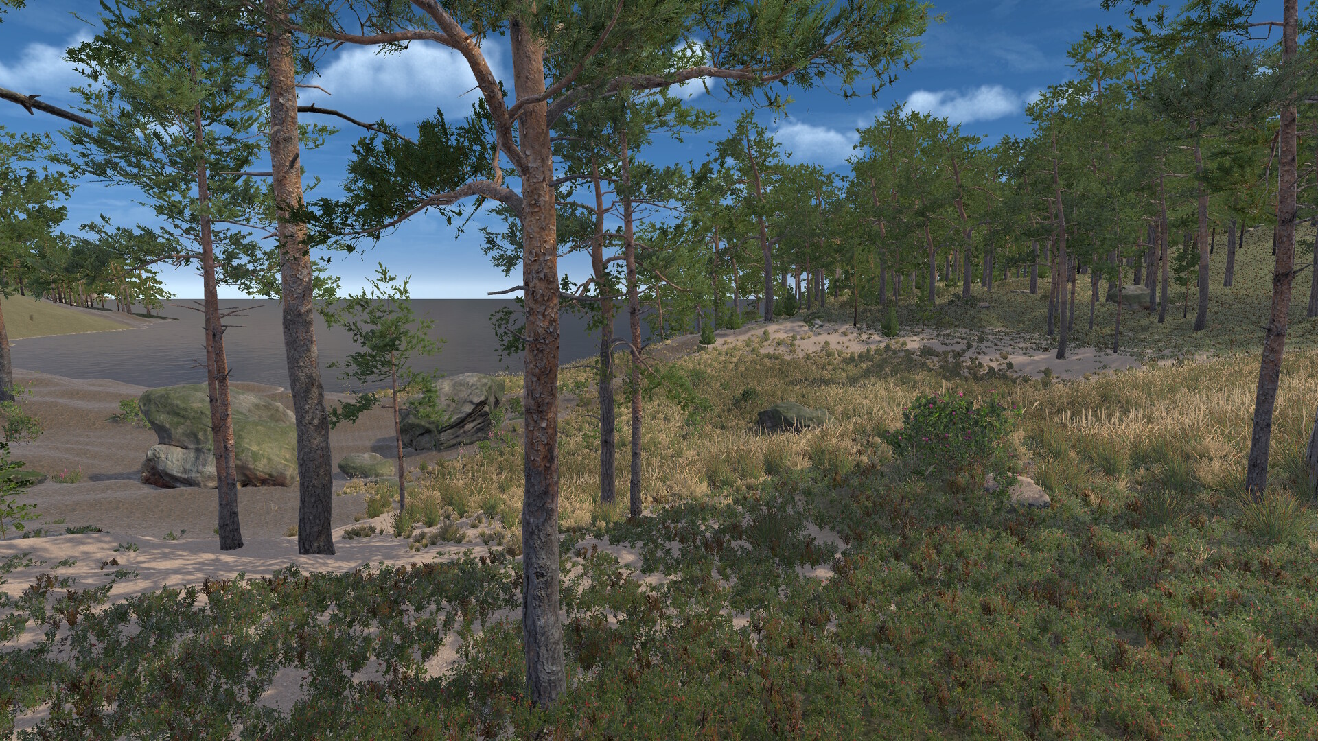 Infinite Orienteering: The Hiker's Path screenshot 7