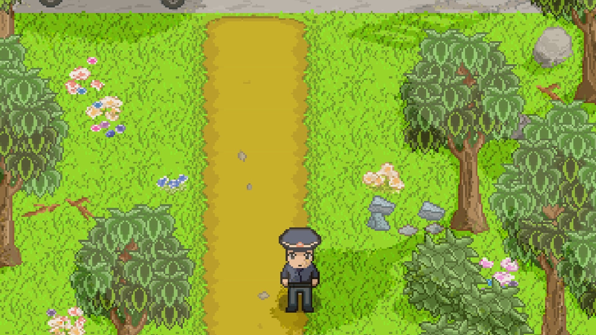 栀子花 screenshot 5