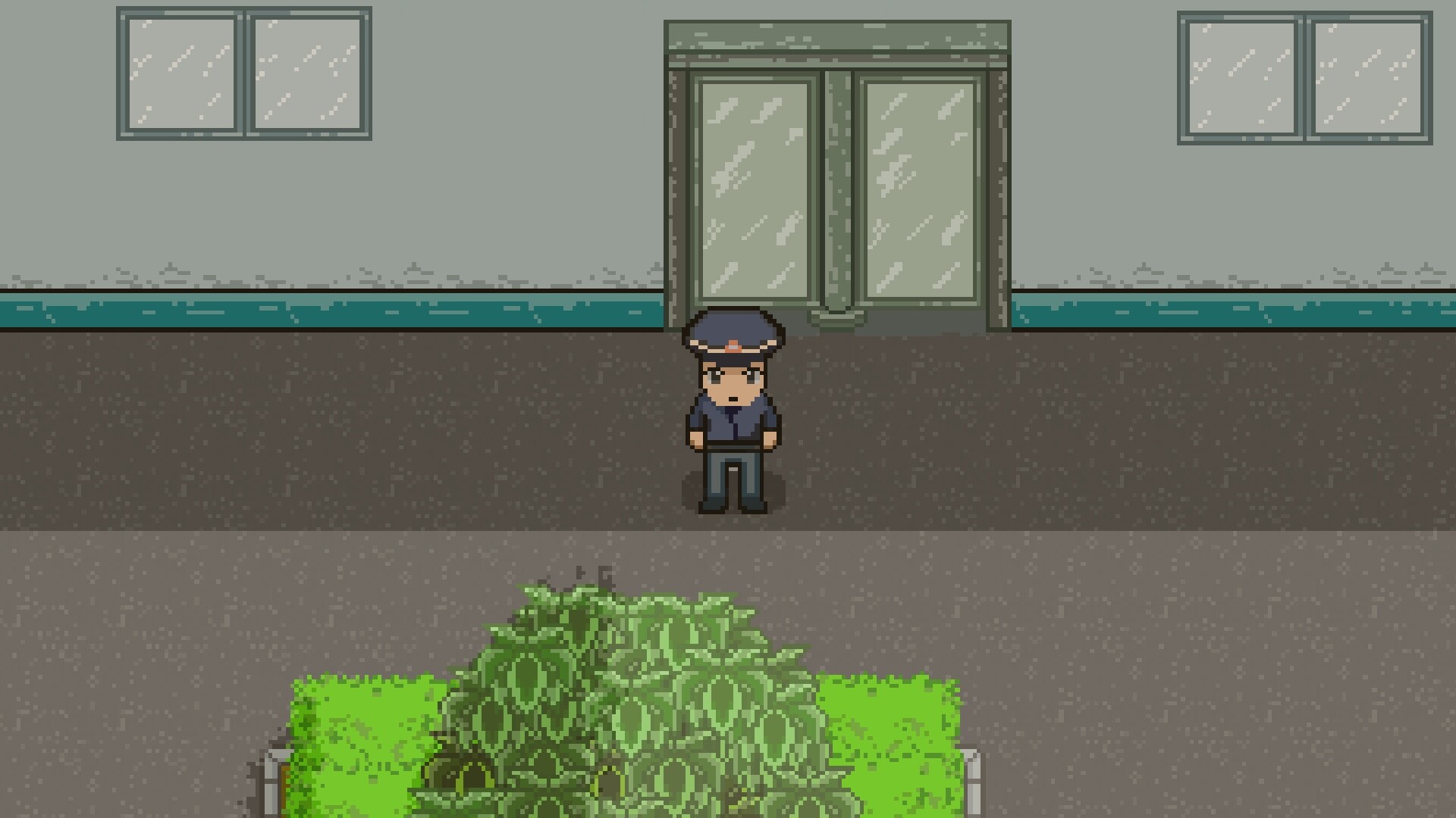 栀子花 screenshot 8