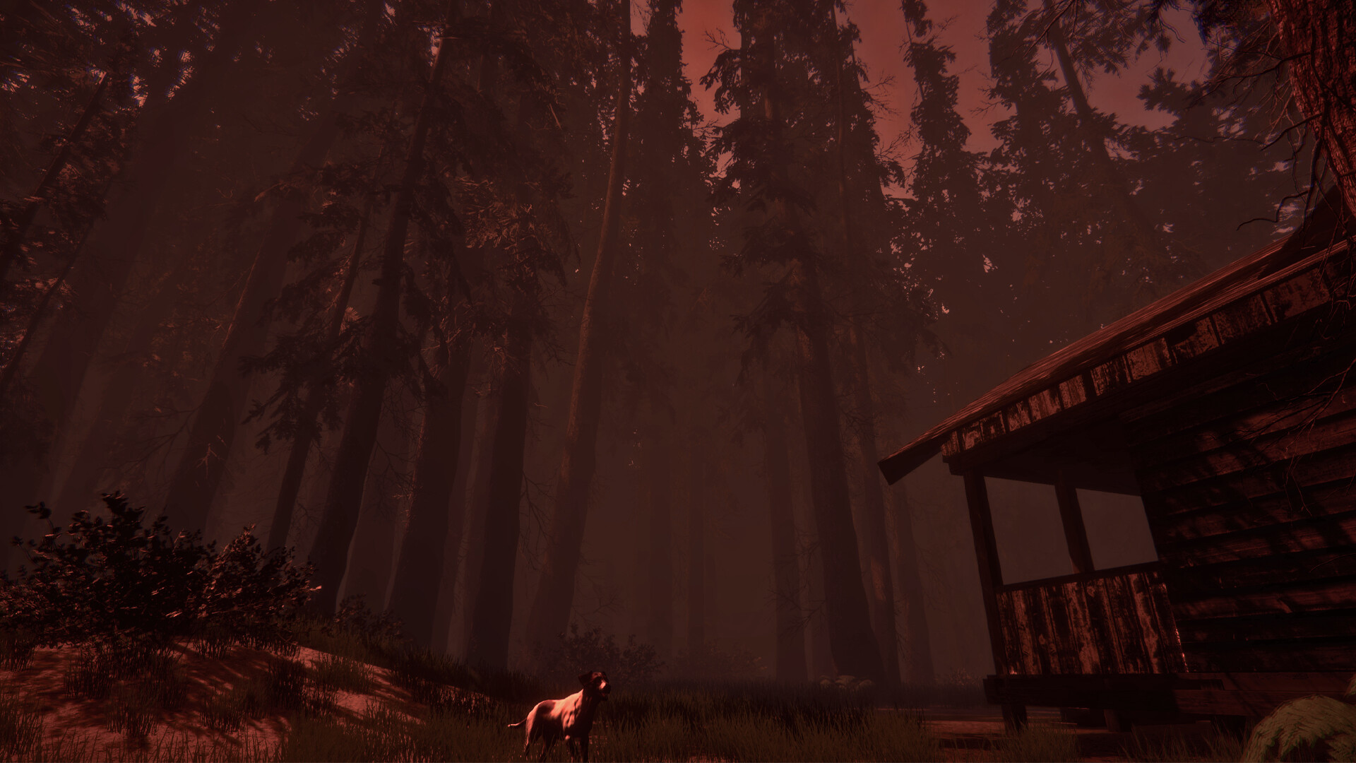 Shroud of the Woods screenshot 1