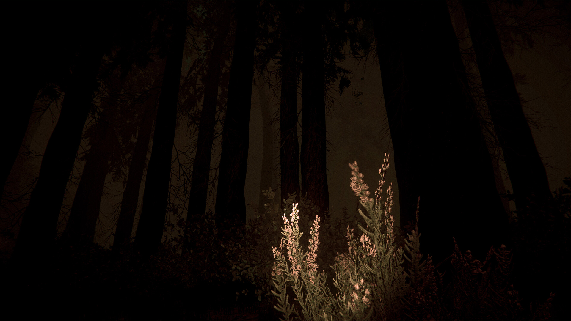 Shroud of the Woods screenshot 3
