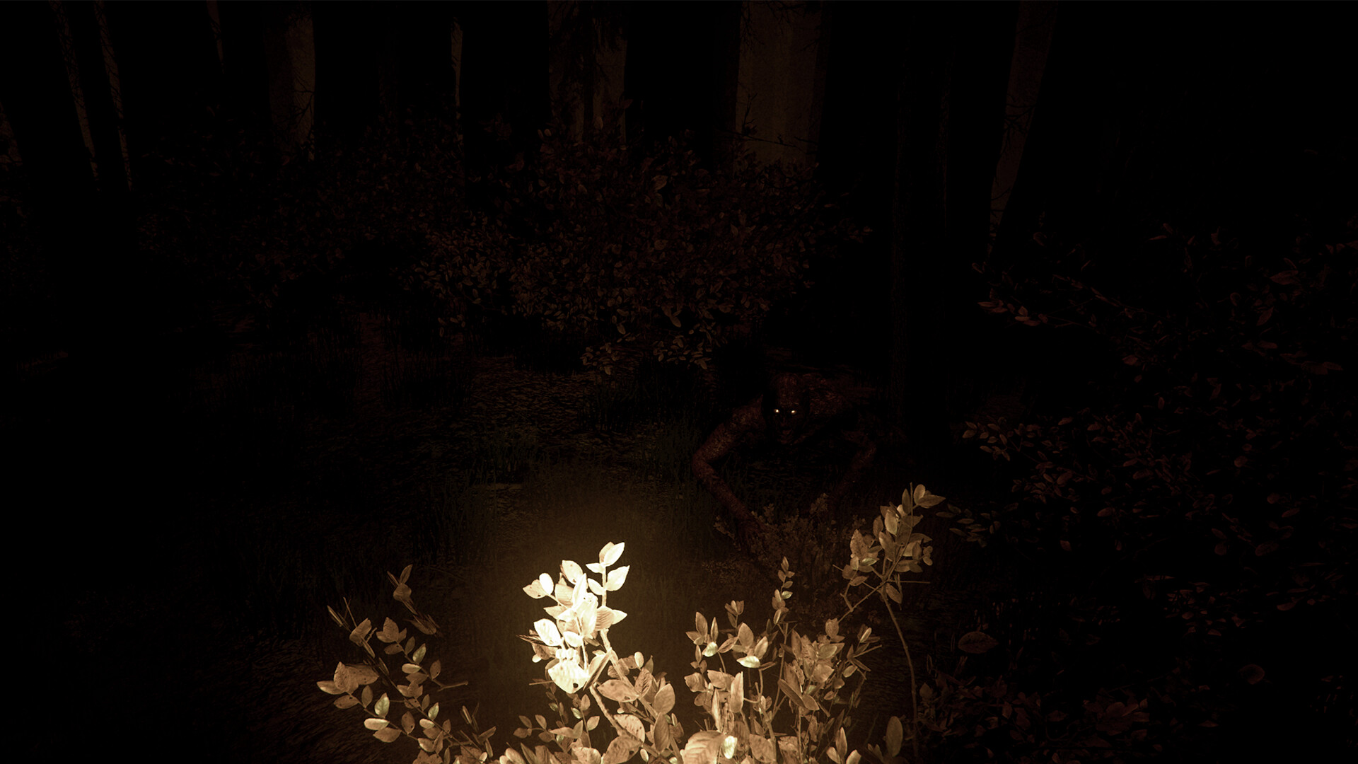 Shroud of the Woods screenshot 5