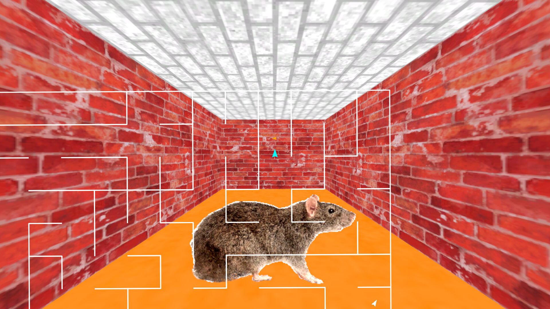 Maze 95 Ultimate screenshot 8